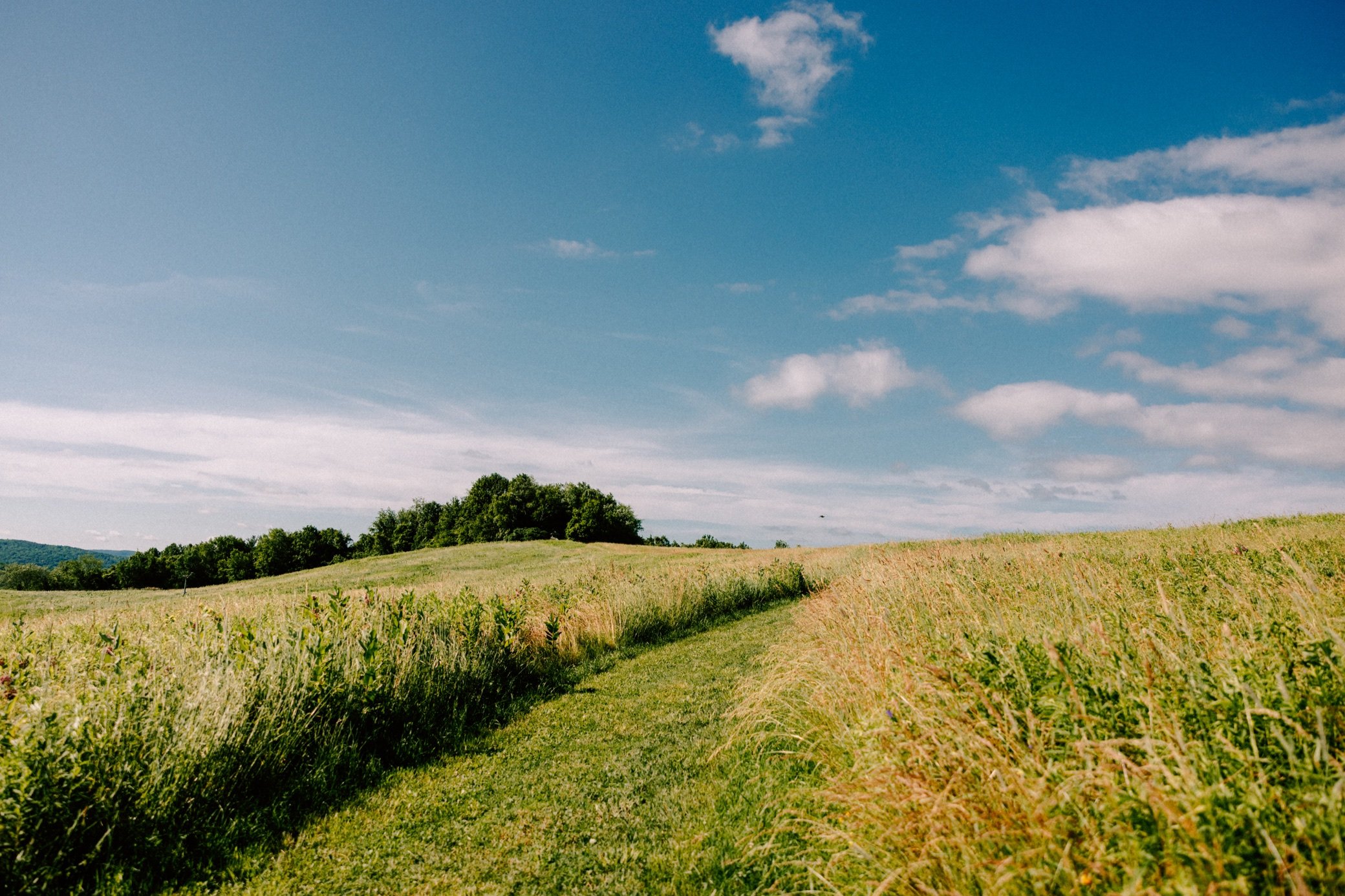  ooms nature conservancy in Chatham, NY 