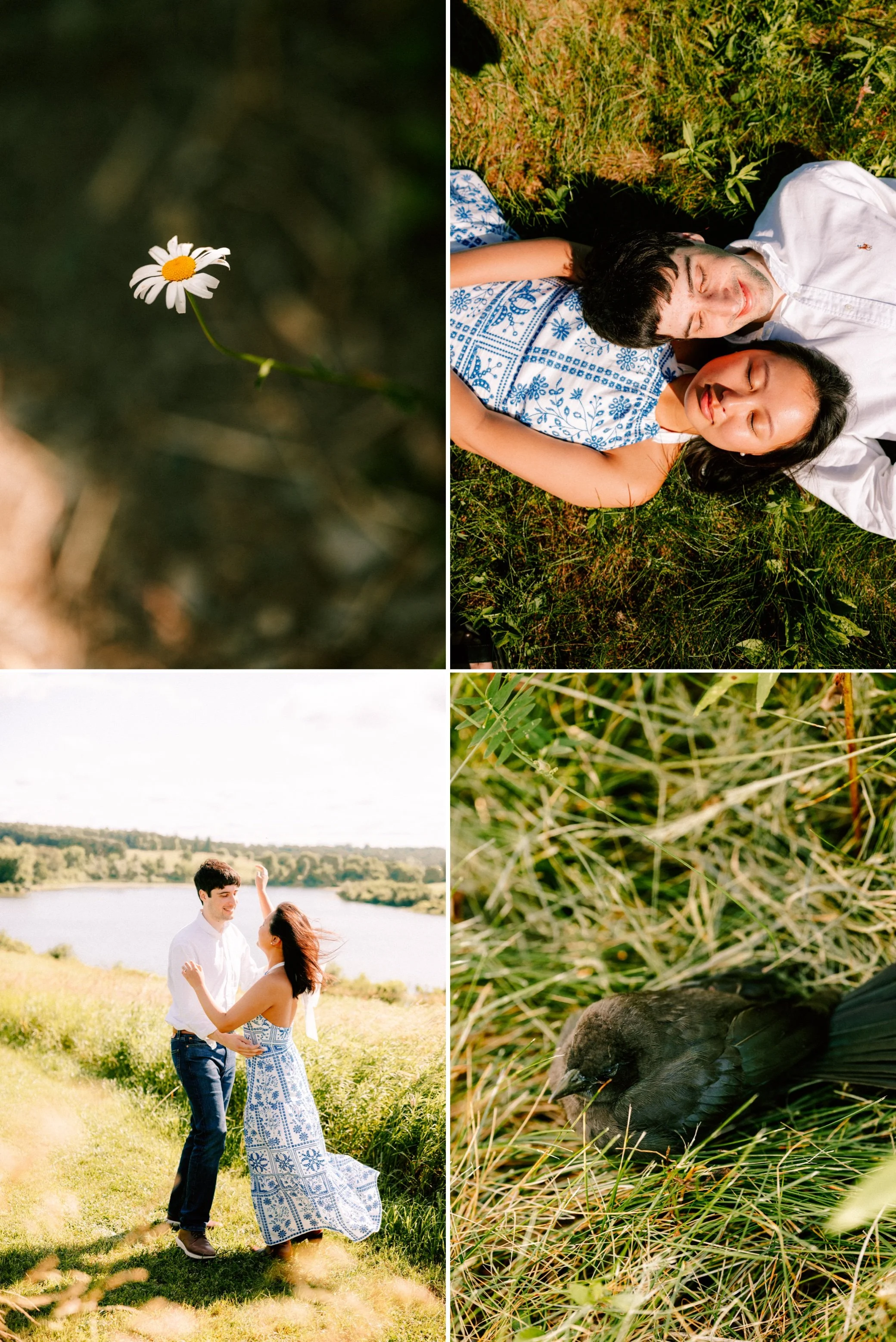  hudson valley engagement photography by caitlinn mahar-daniels at Ooms - Columbia Land Conservancy 