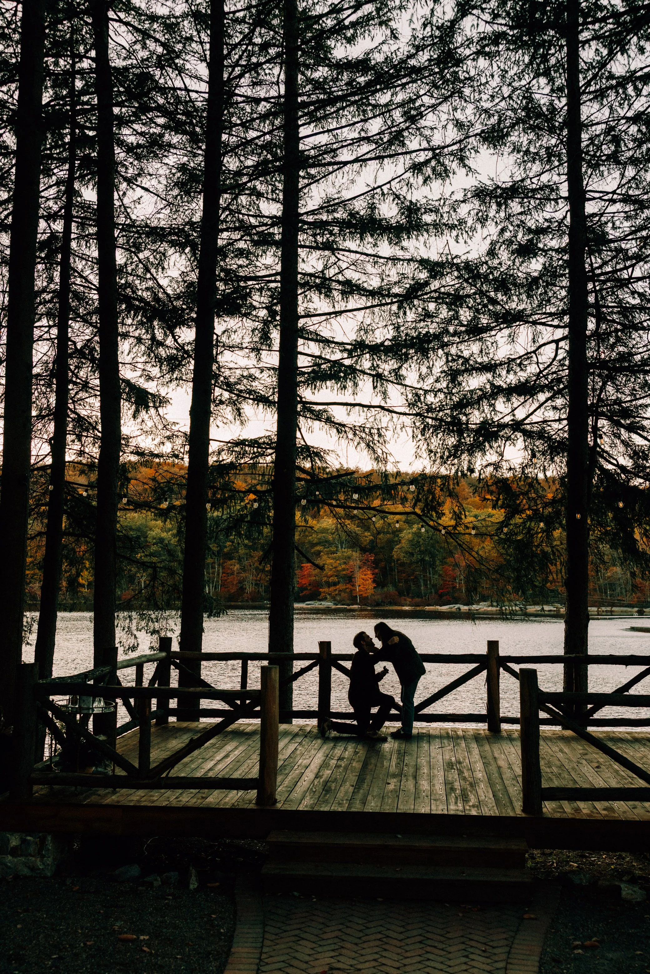 Photograph of Surprise Proposal at Cedar Lakes Estate