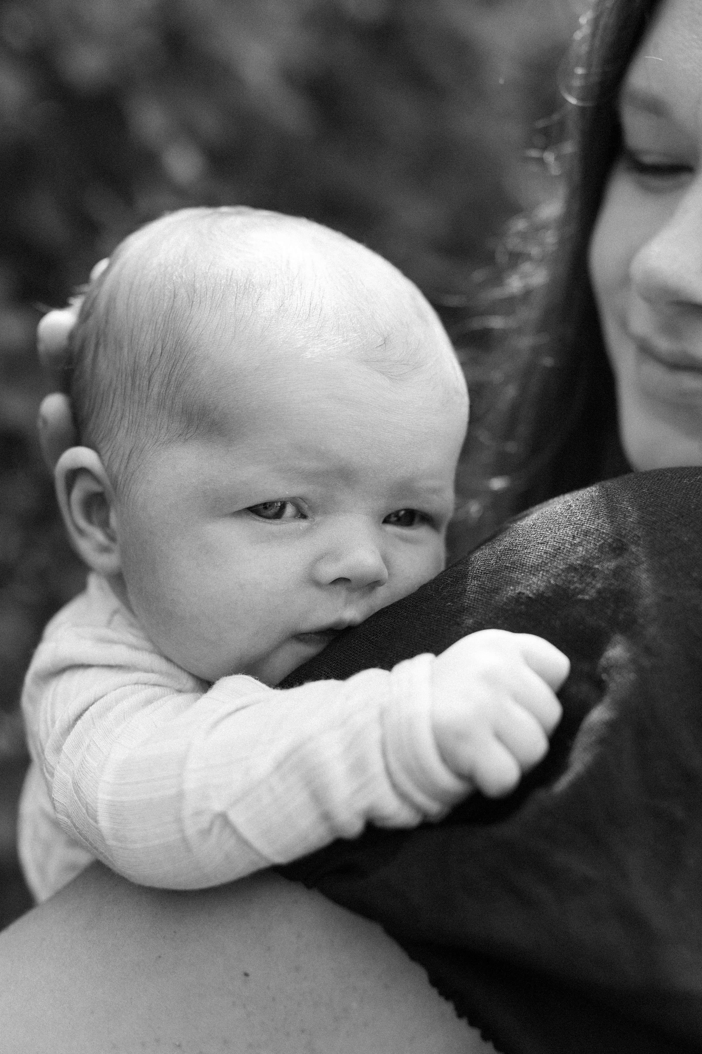 Caitlinn-Mahar-Daniels-Hudson-Valley-Newborn-Photographer7.jpg