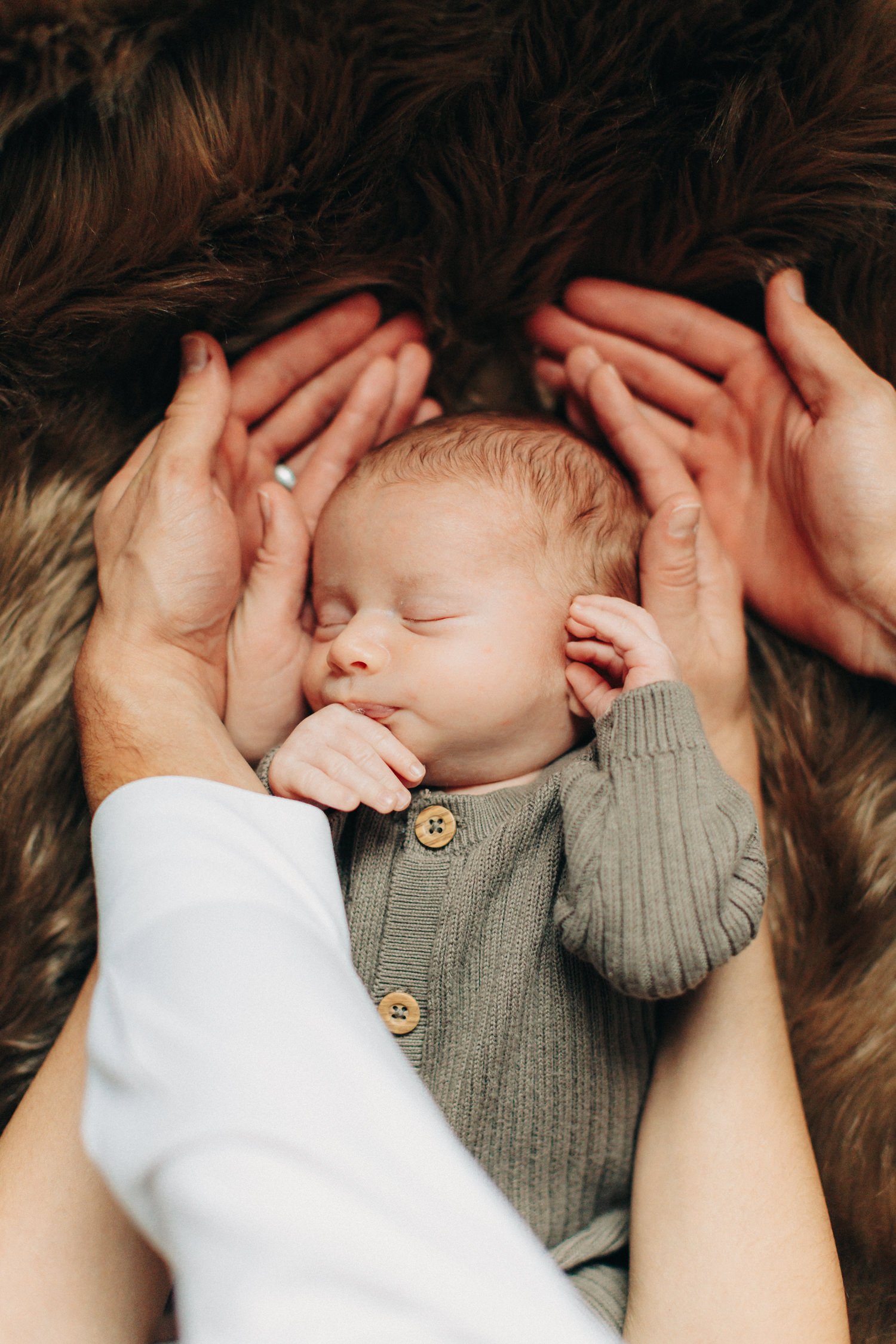 Caitlinn-Mahar-Daniels-Hudson-Valley-Newborn-Photographer1.jpg