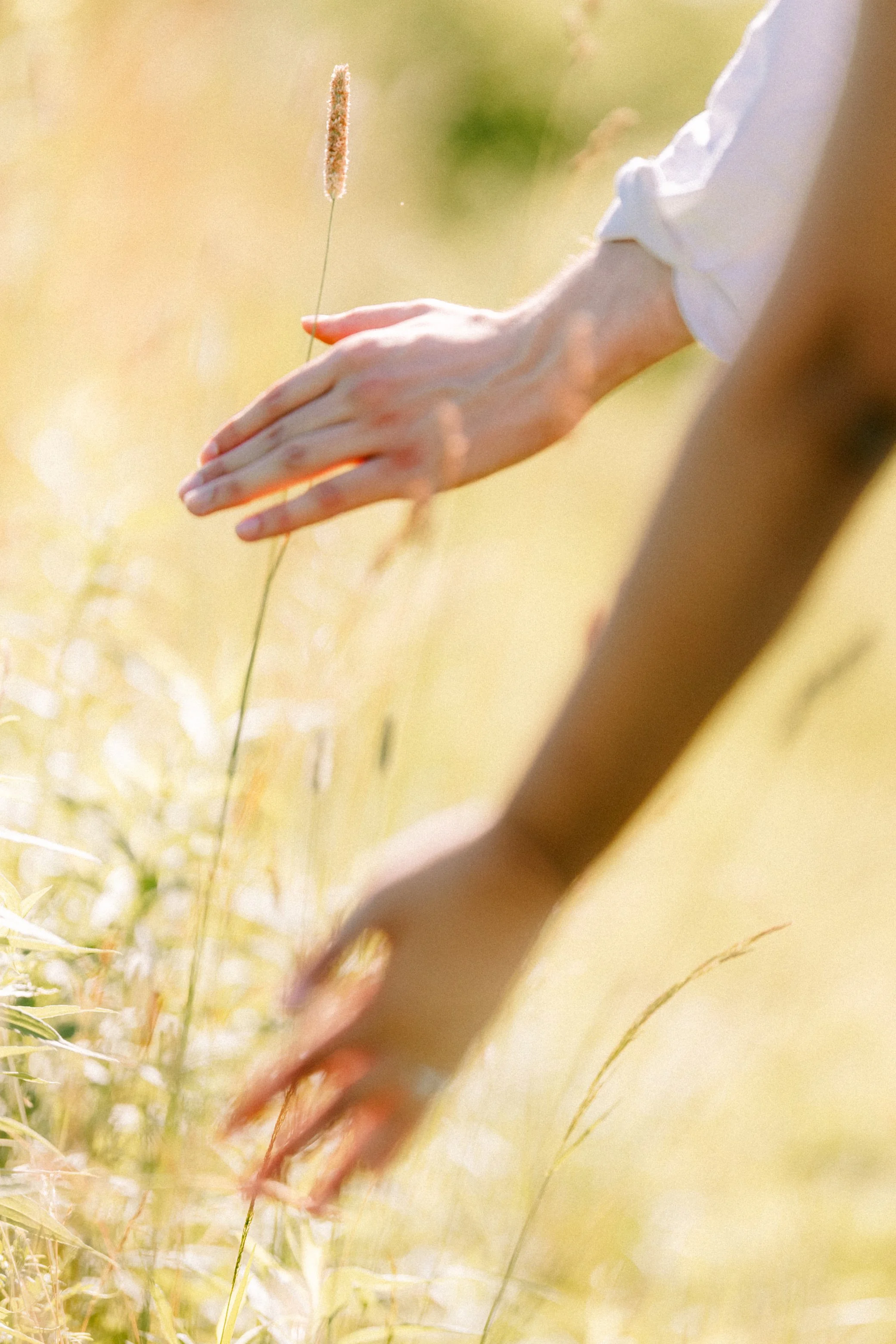 couples hands touch tall grass during their hudson valley engagement shoot