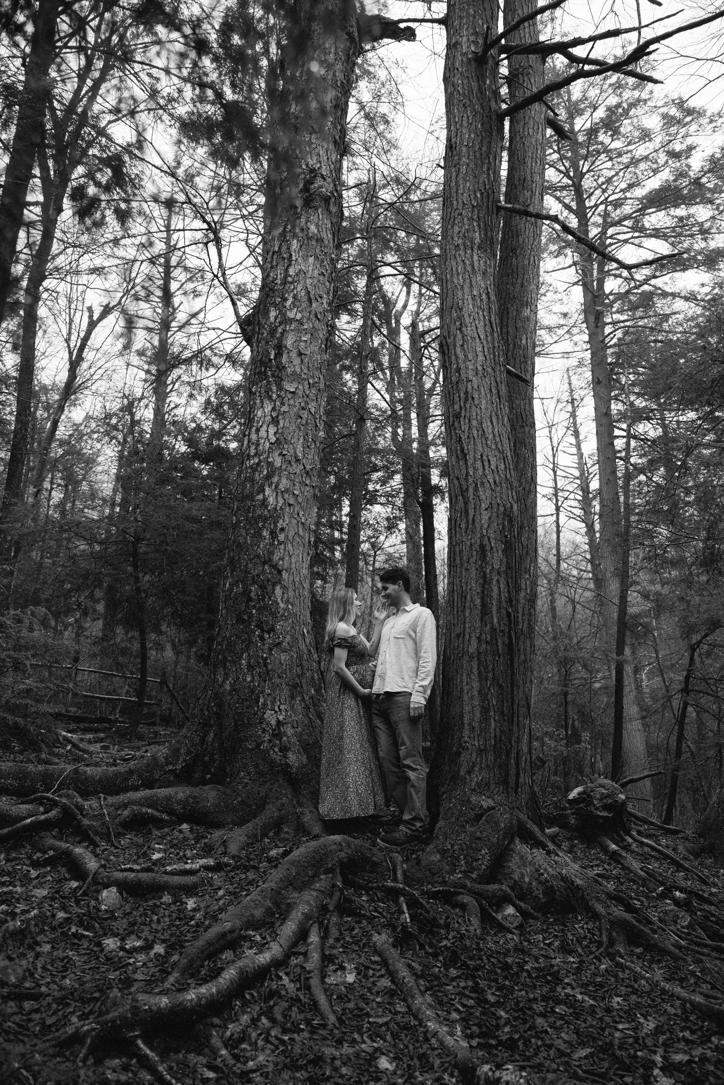 Caitlinn-Mahar-Daniels-Hudson-Valley-Maternity-Photographer11.jpg