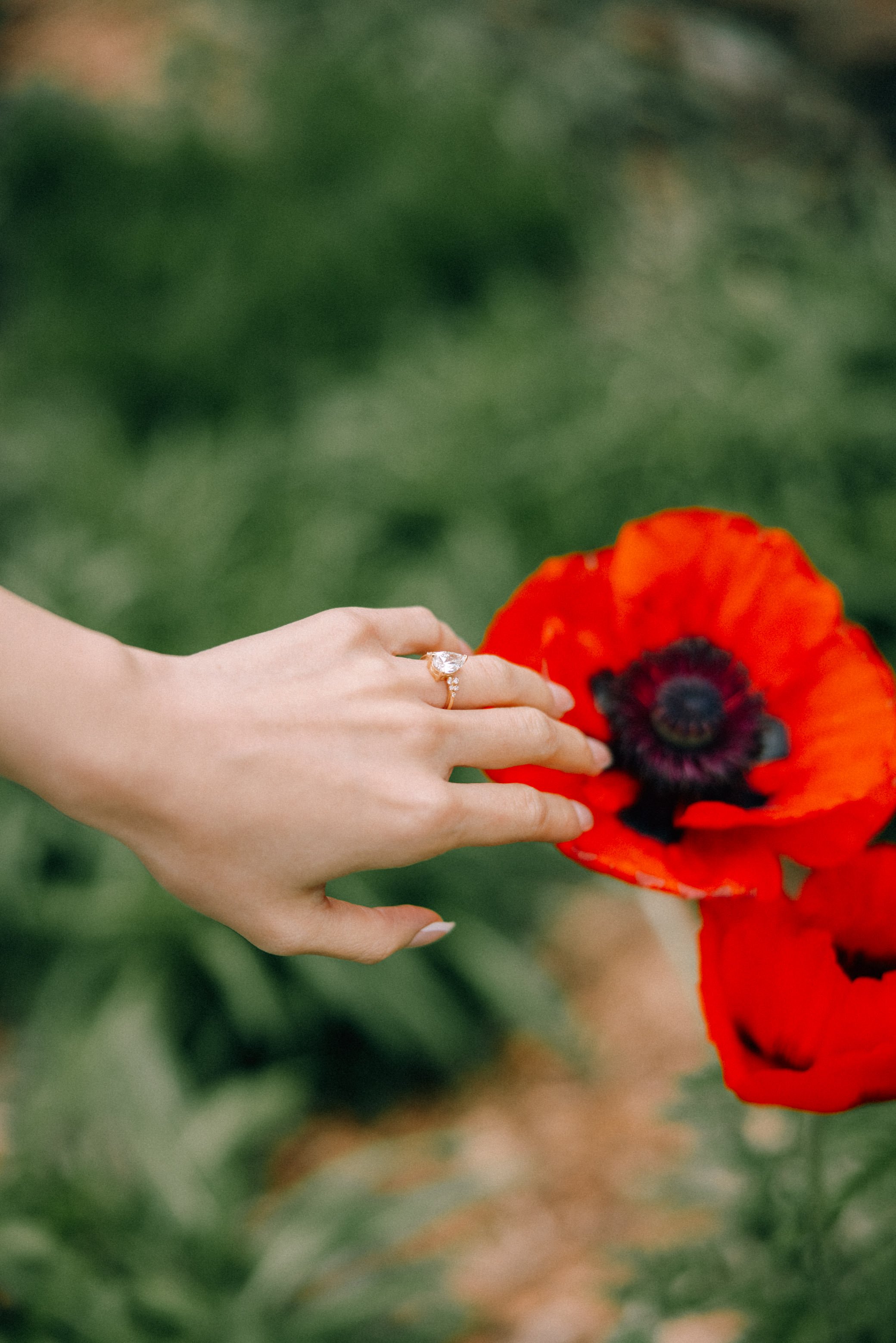 woman with engagement ring on her ring finger gently touches red poppy flower with her hand