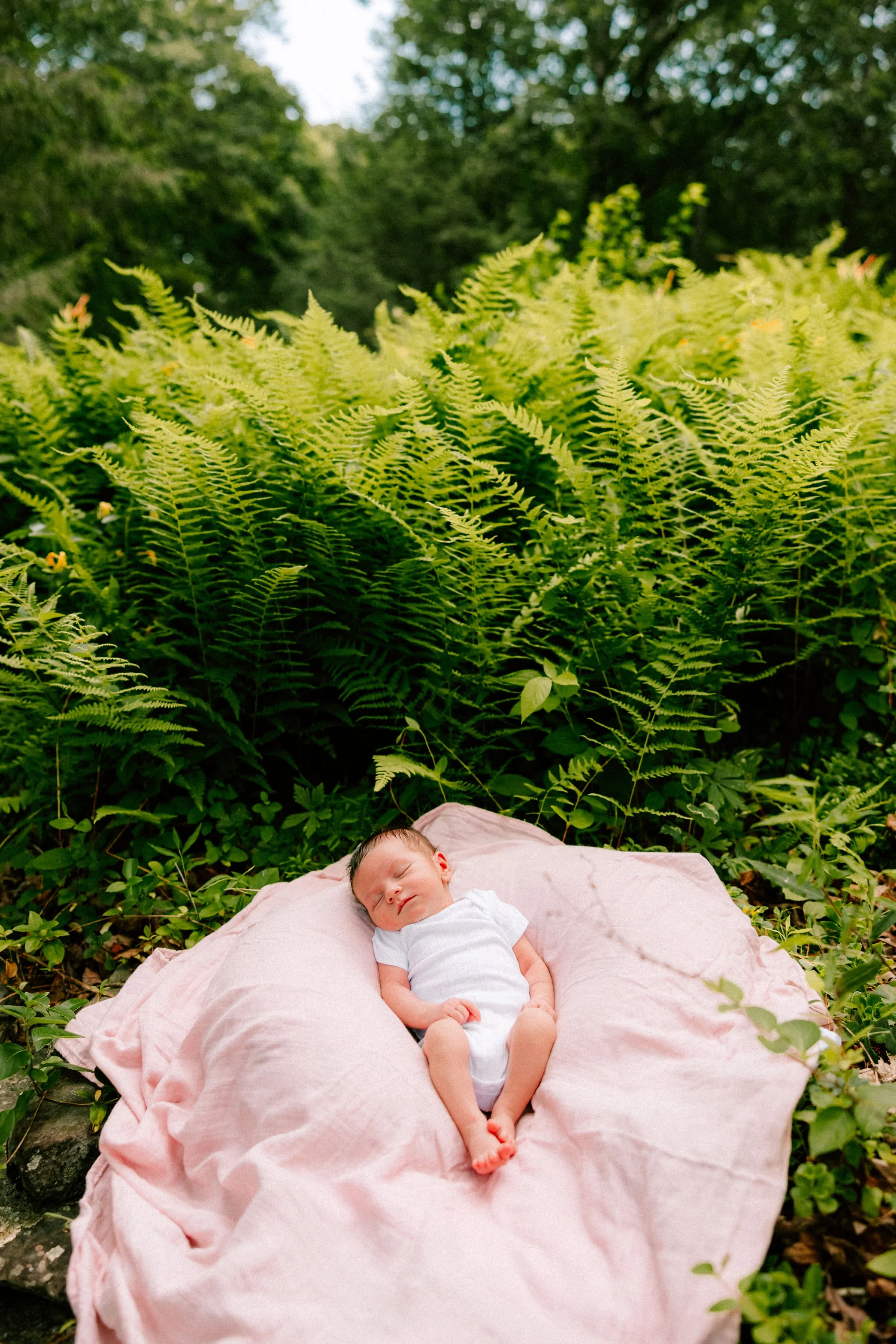 Caitlinn-Mahar-Daniels-Hudson-Valley-Newborn-Photographer13.jpg