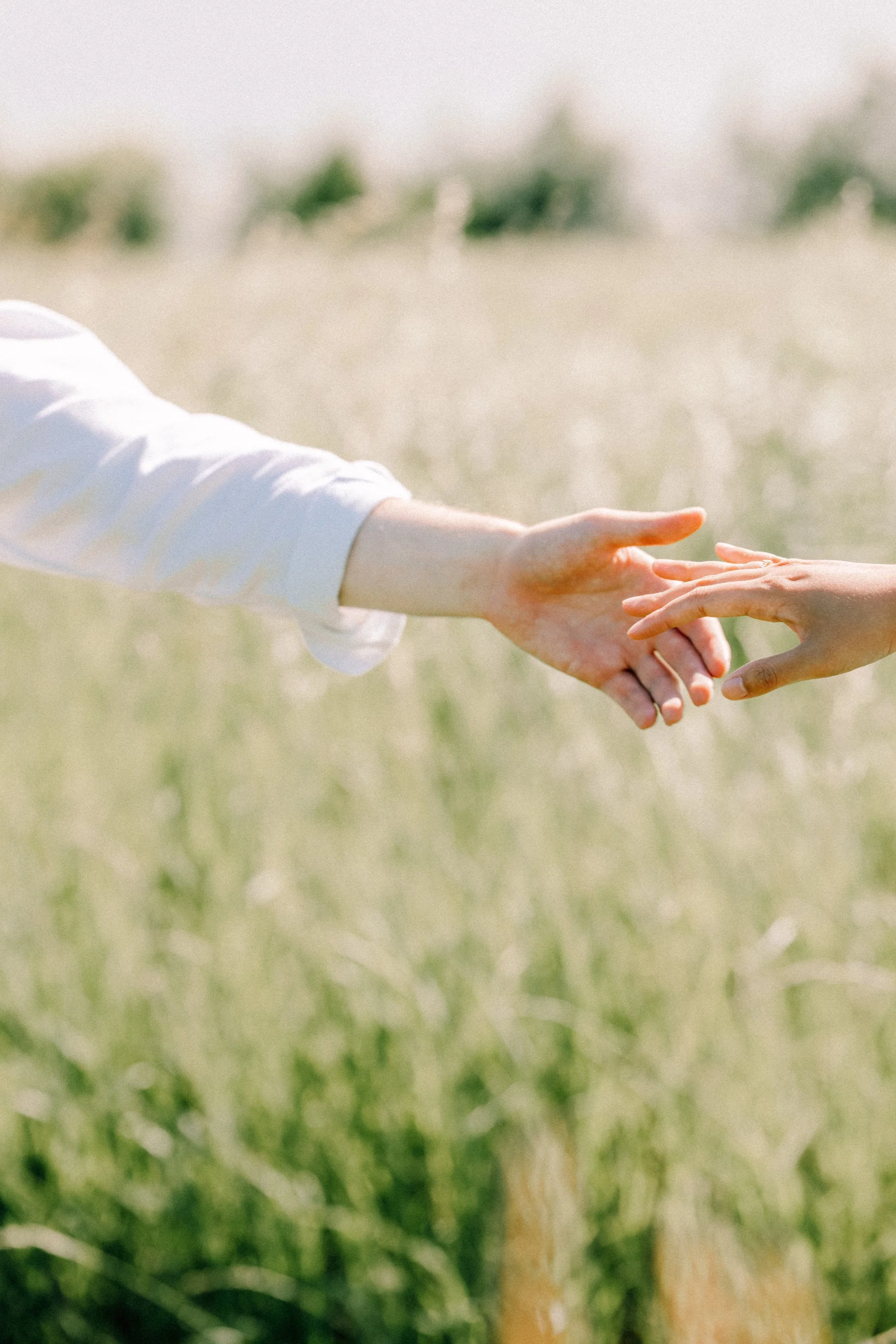 photo of engaged couples hands reaching for each other during their engagement shoot in the hudson valley