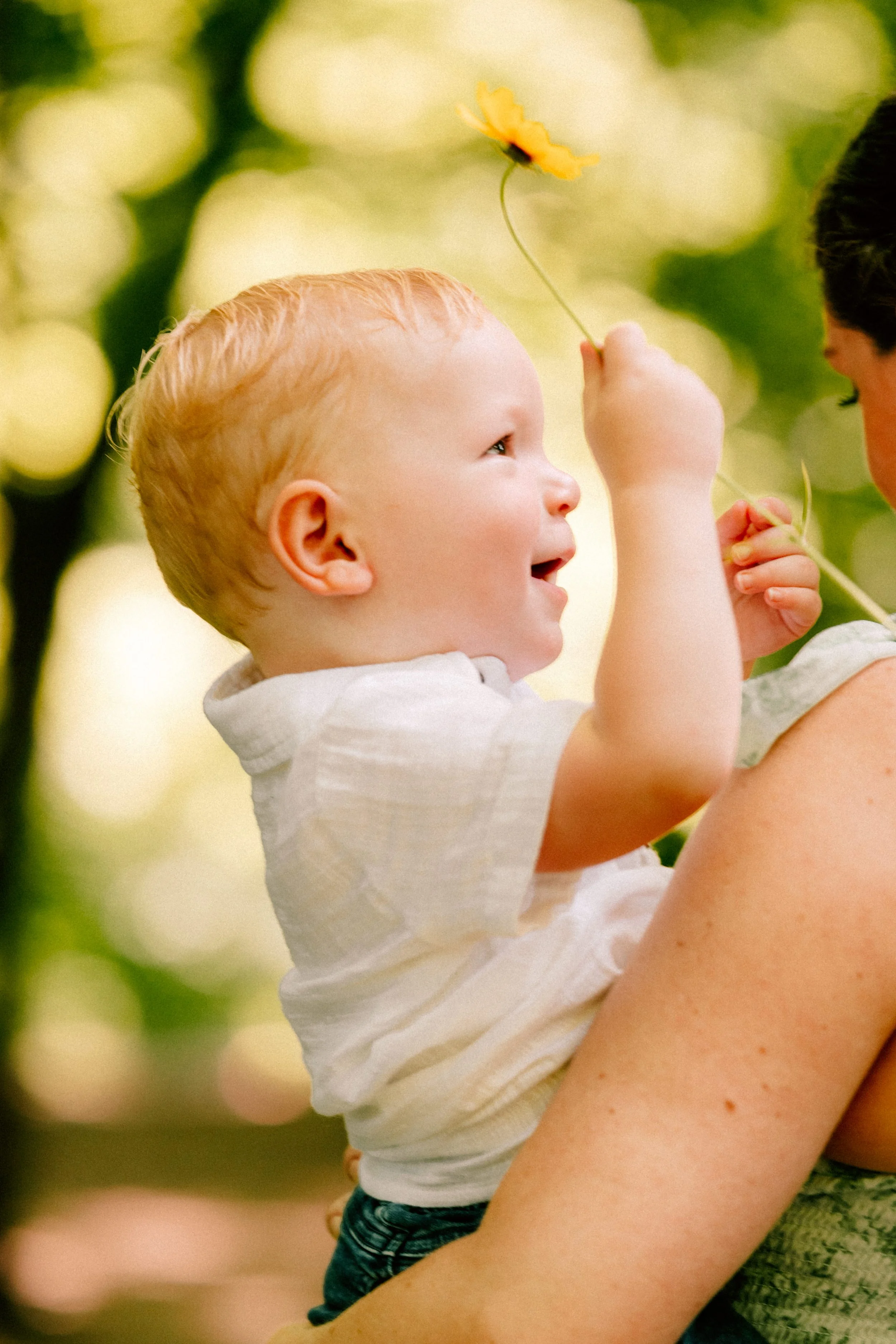 Caitlinn-Mahar-Daniels-Hudson-Valley-Family-Photography31.jpg