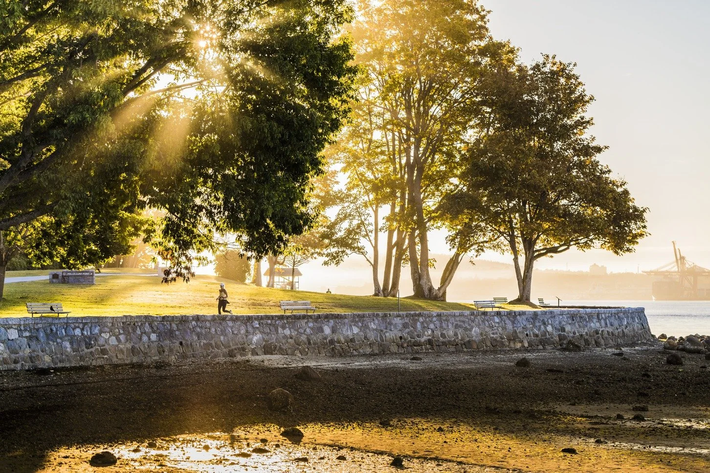 Stanley Park Runner on Seawall (1).jpg