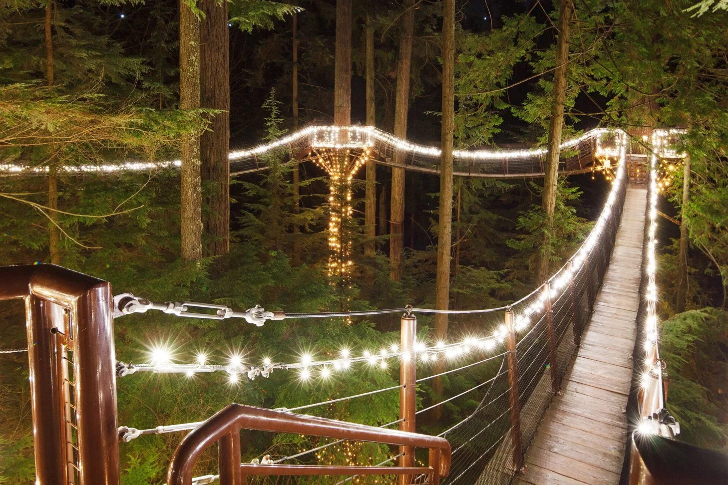 Canyon Lights Treetops Adventure at  Capilano Suspension Bridge Park.jpg