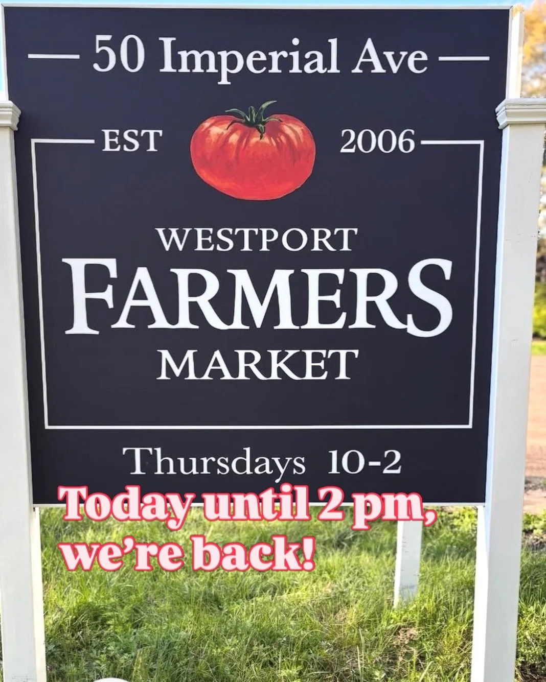 We&rsquo;re back baby!  Sunshine, light breeze, farmers, flowers and much more!
