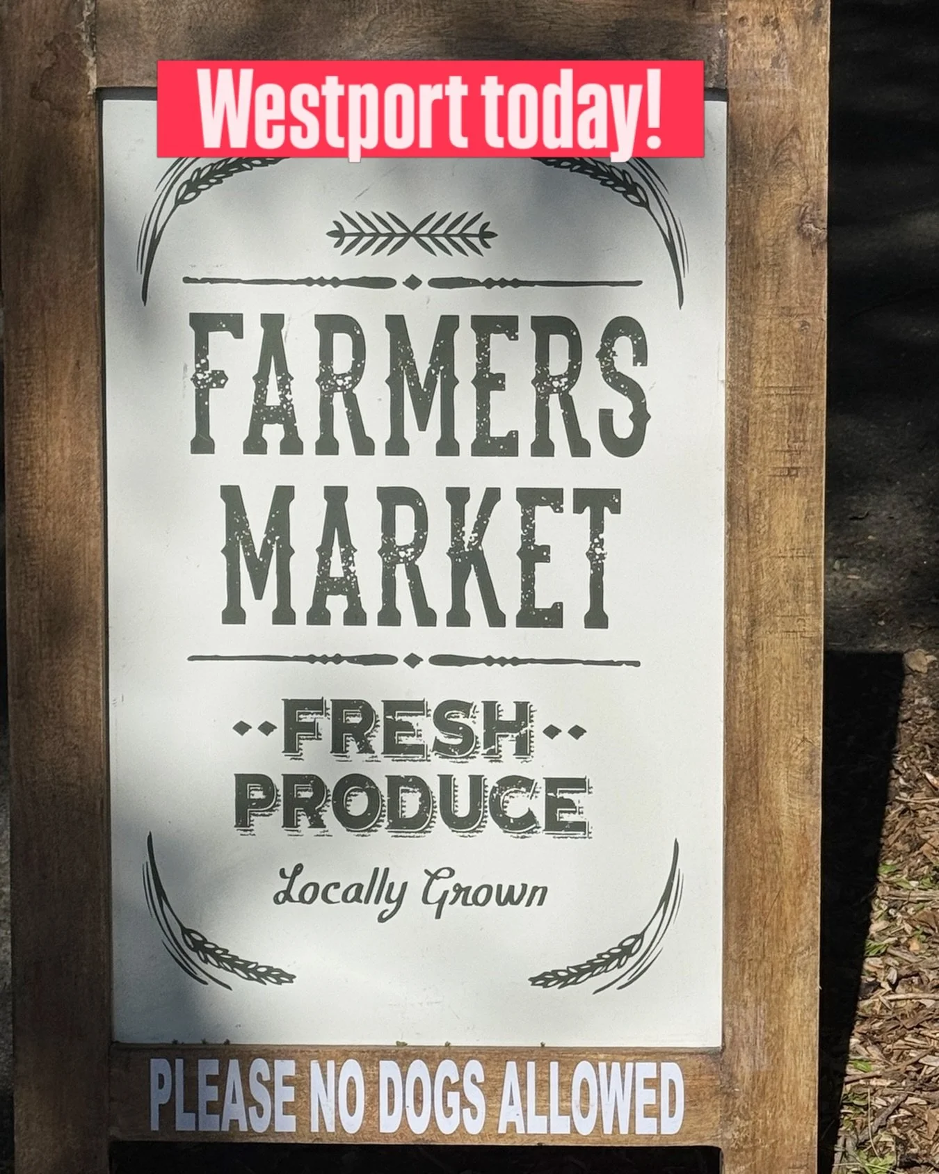 Open 10-2 on this gorgeous day!  Many wonderful vendors and farmers, come shop and enjoy buying Local.