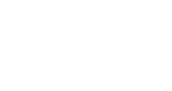 BL Corp Services