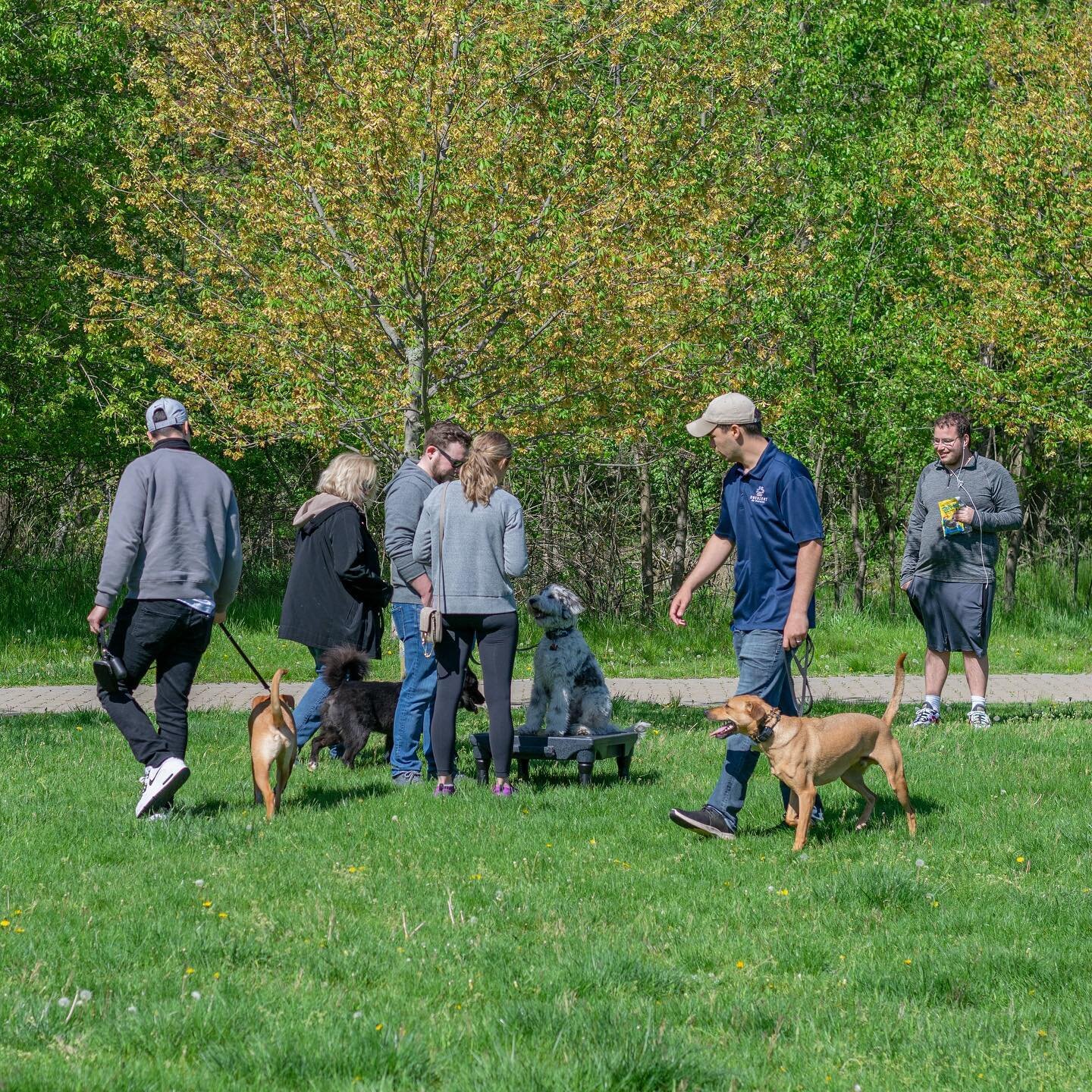 Who else is ready for our Pack Walk this weekend?!? We are!! Let us know if you are joining 🐶

.
.
.

Start training your dog with us today by DMing us or text/call us (201) 983-7699 to schedule a free consultation

.
.
.

#ObedientK9 #NJdogtrainer 