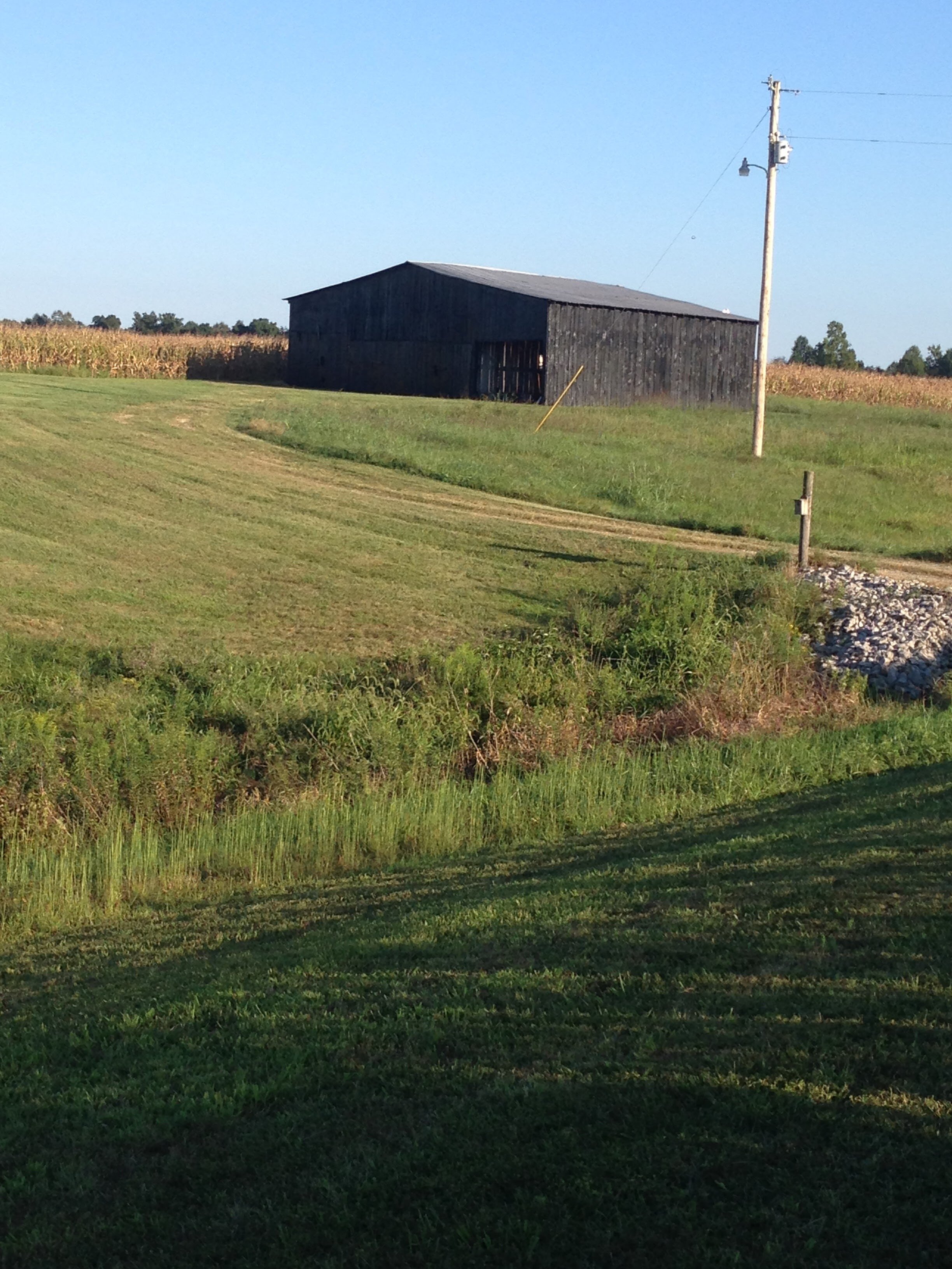 FARM SET 2 (2).jpg