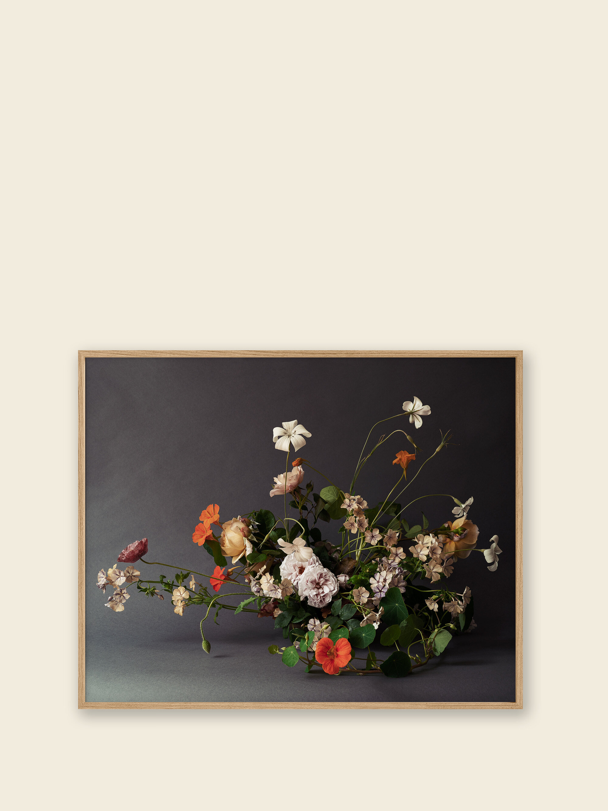 phlox.jpg