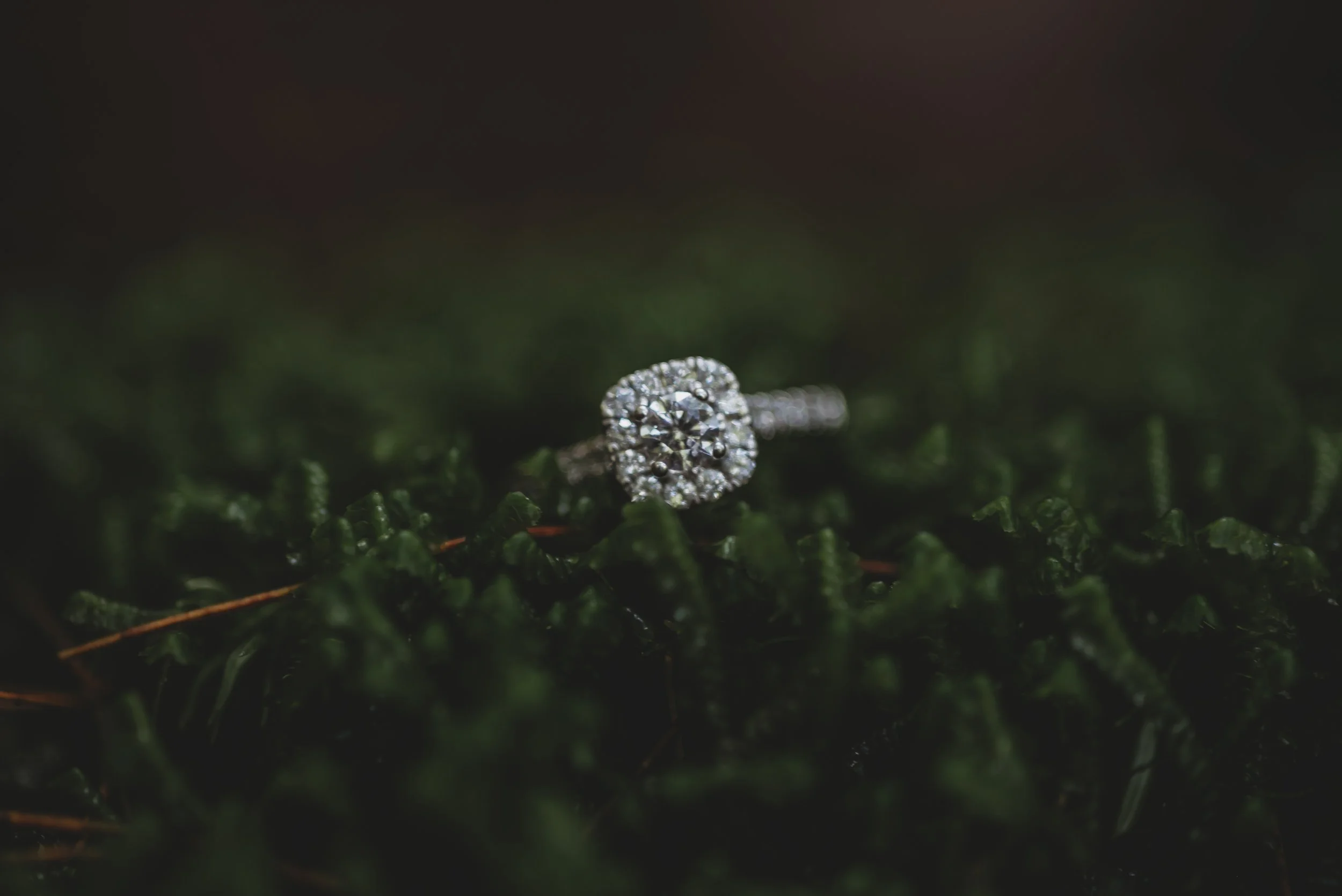 Summer Wilde Photography || Ohio Photographer