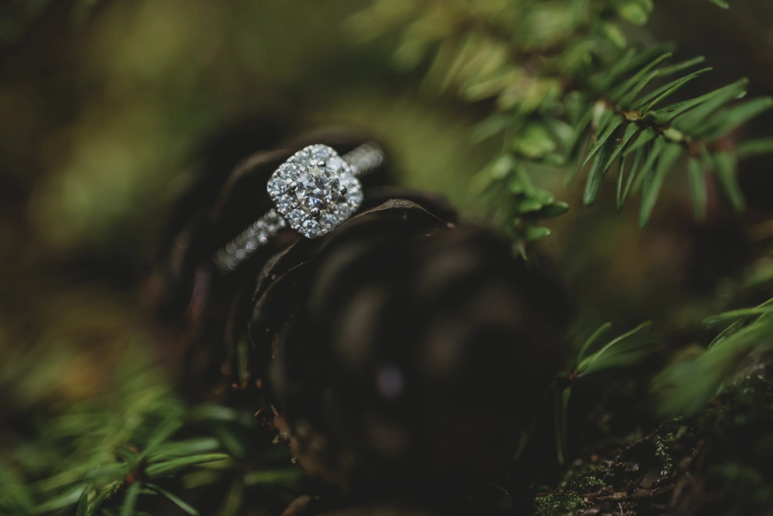 Summer Wilde Photography || Ohio Photographer