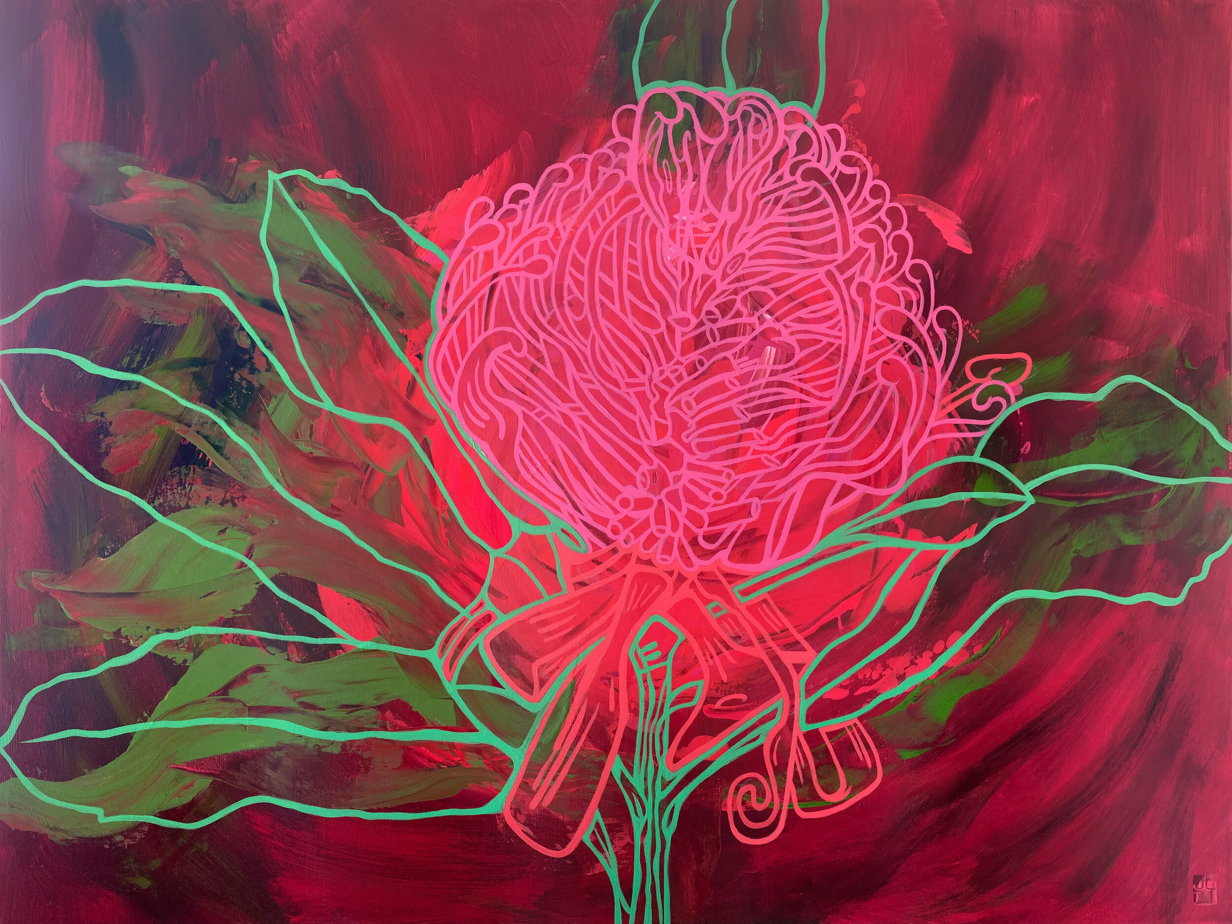 Pink Waatah72.jpg