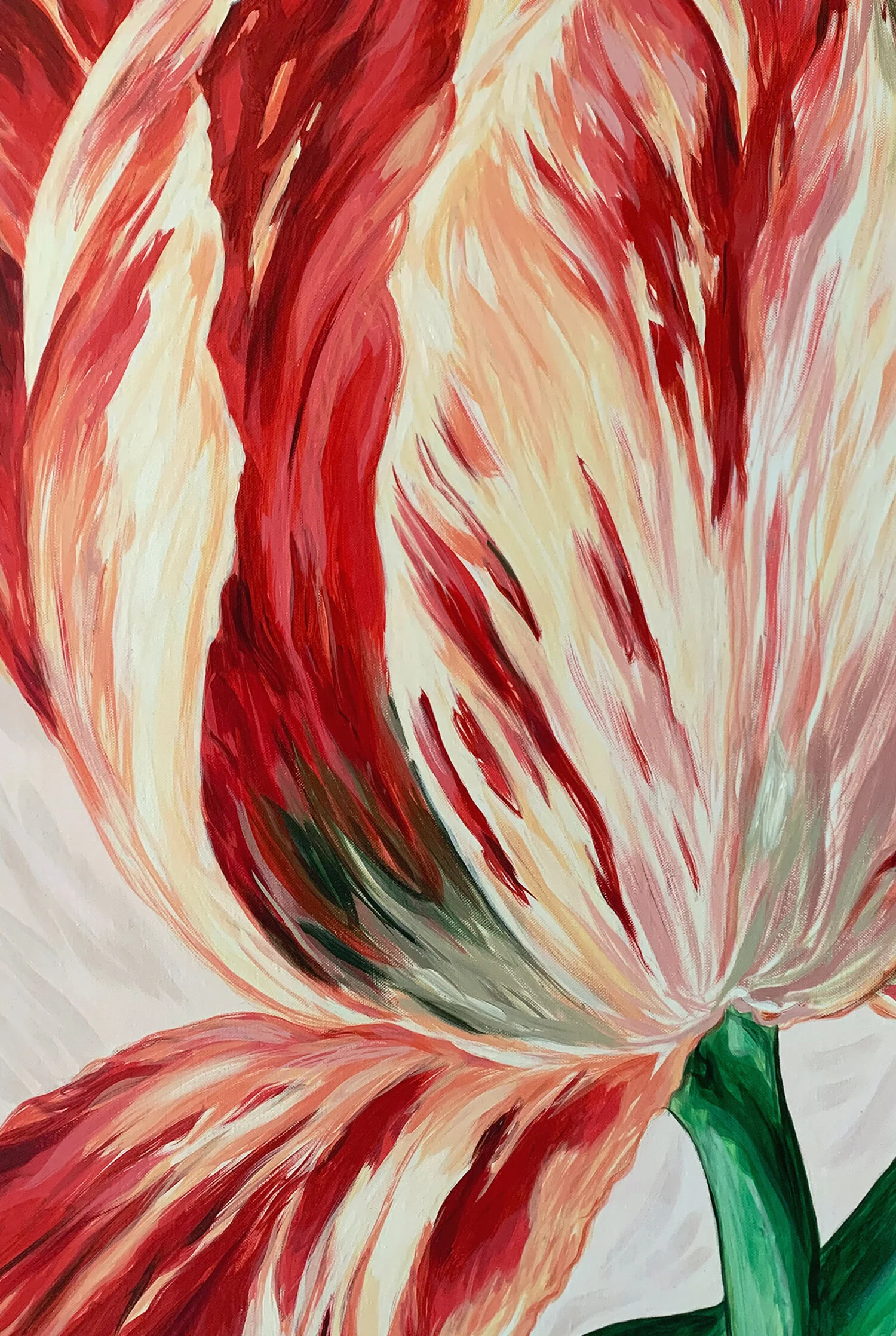 paotttulip72small.jpg
