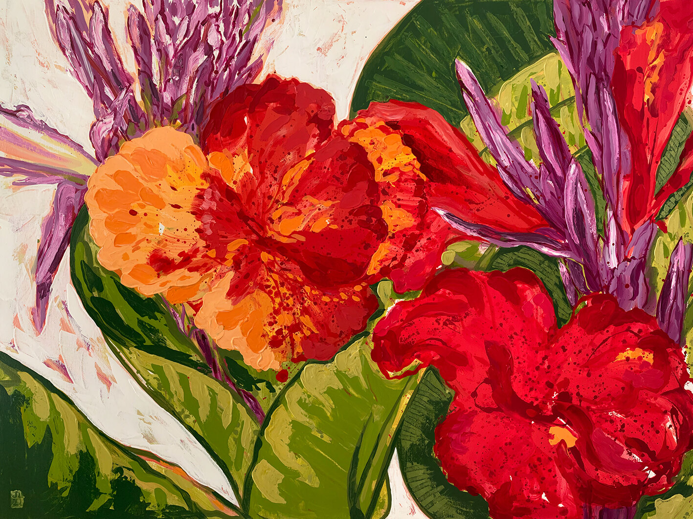 SPLASH_Dragon Spot_Gladiolus_JULIE LYNCH_72.jpg