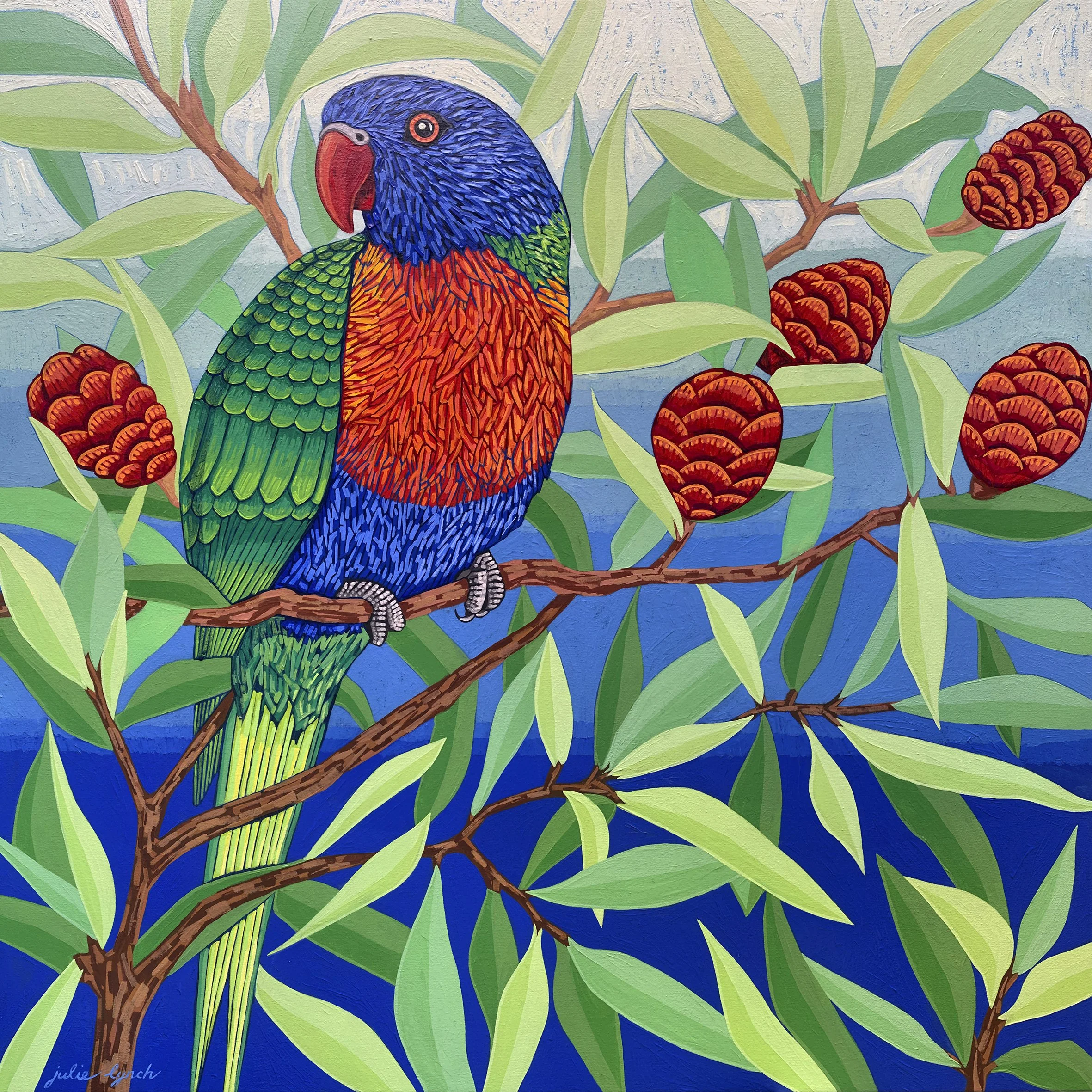 Razzle Lorikeet cropped Julie Lynch.jpg