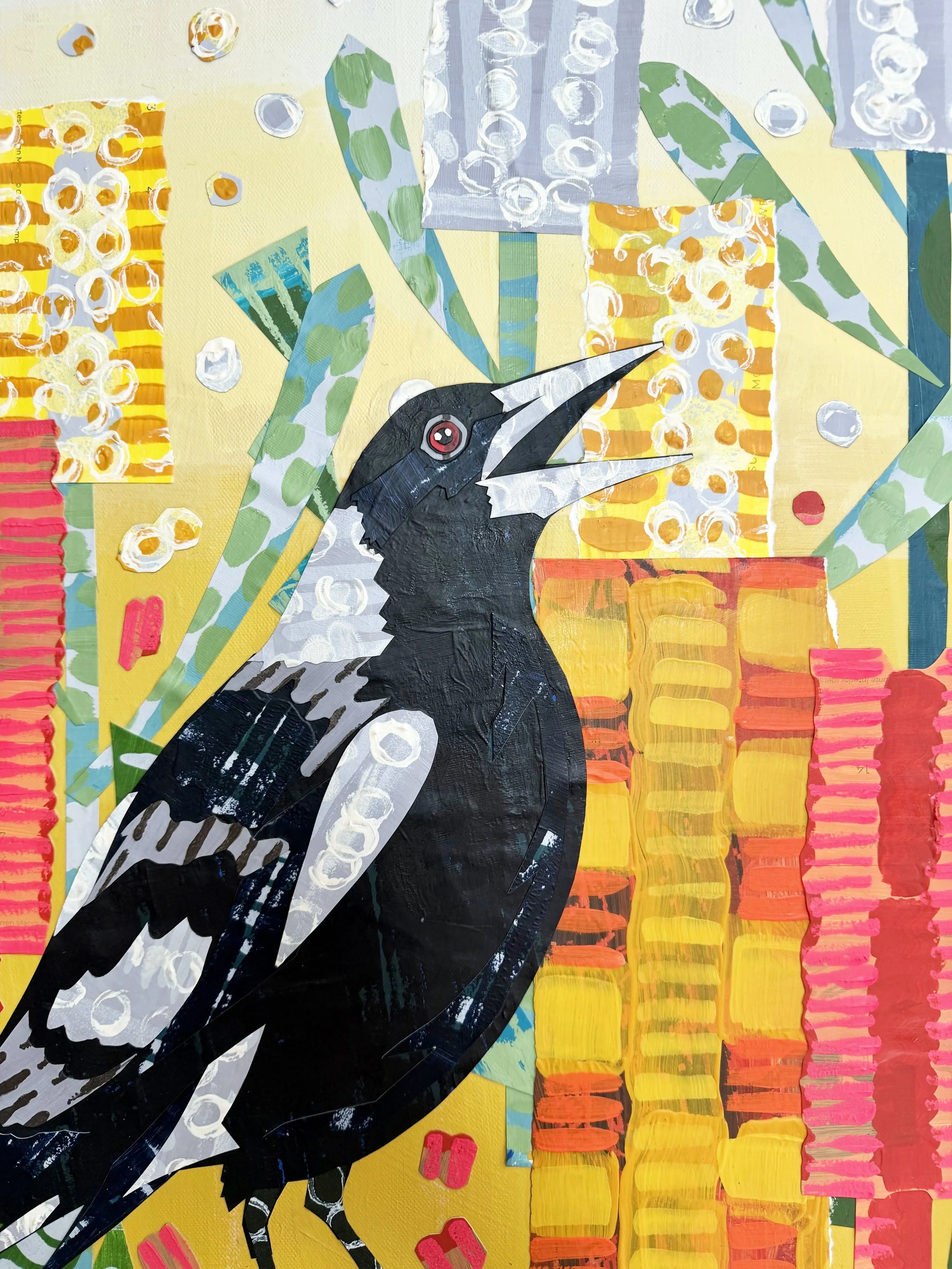 Magpie and Banksias detail.jpg