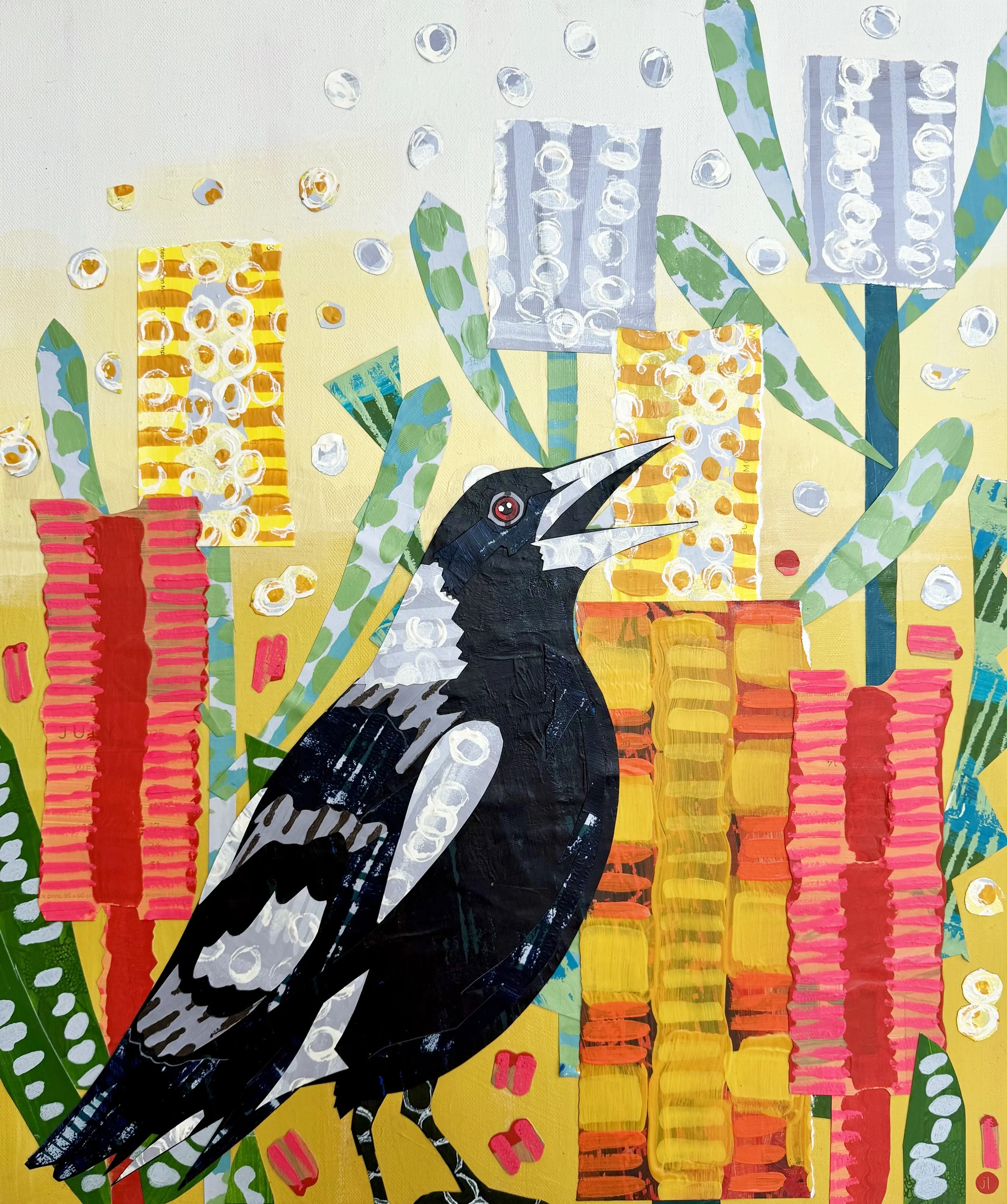 Magpie and Banksias.jpg