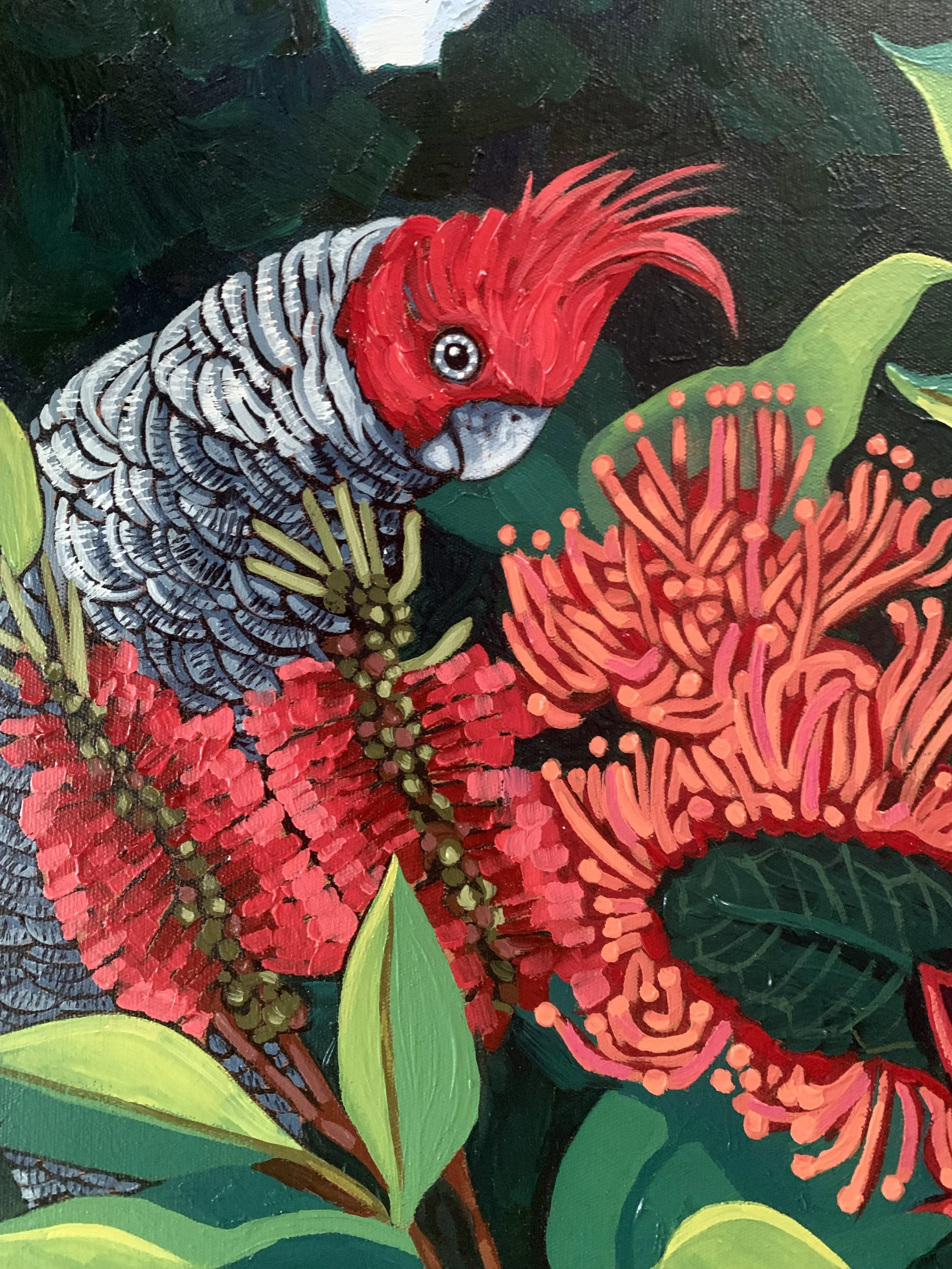 Julie Lynch_Gang gang and Waratah closeup.jpg