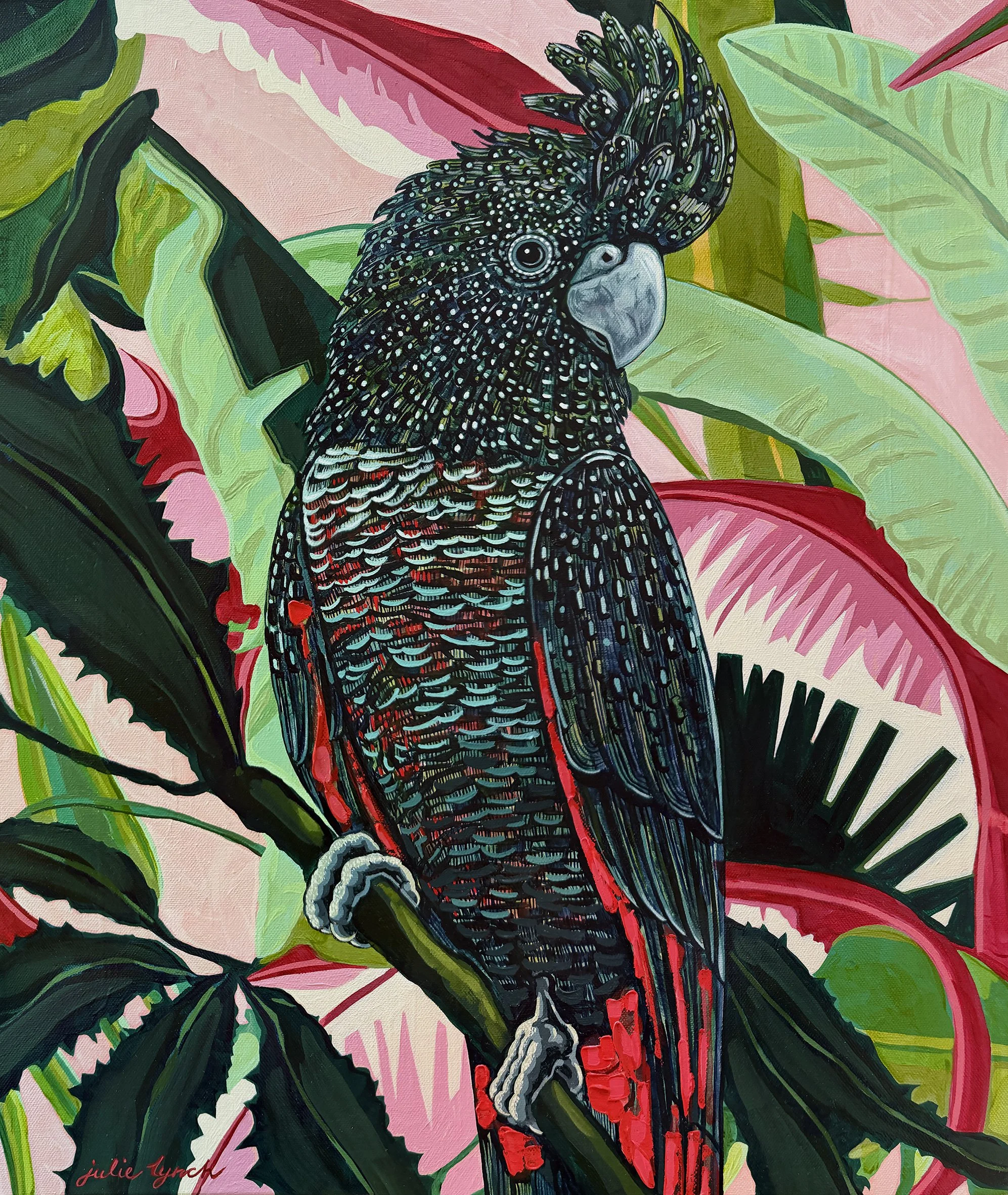 Red Tailed Black Cockatoo_web.jpg