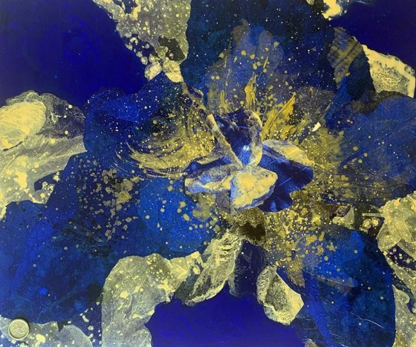 Vivida-Nova, mixed-media on board, 50 x 60cm.jpg