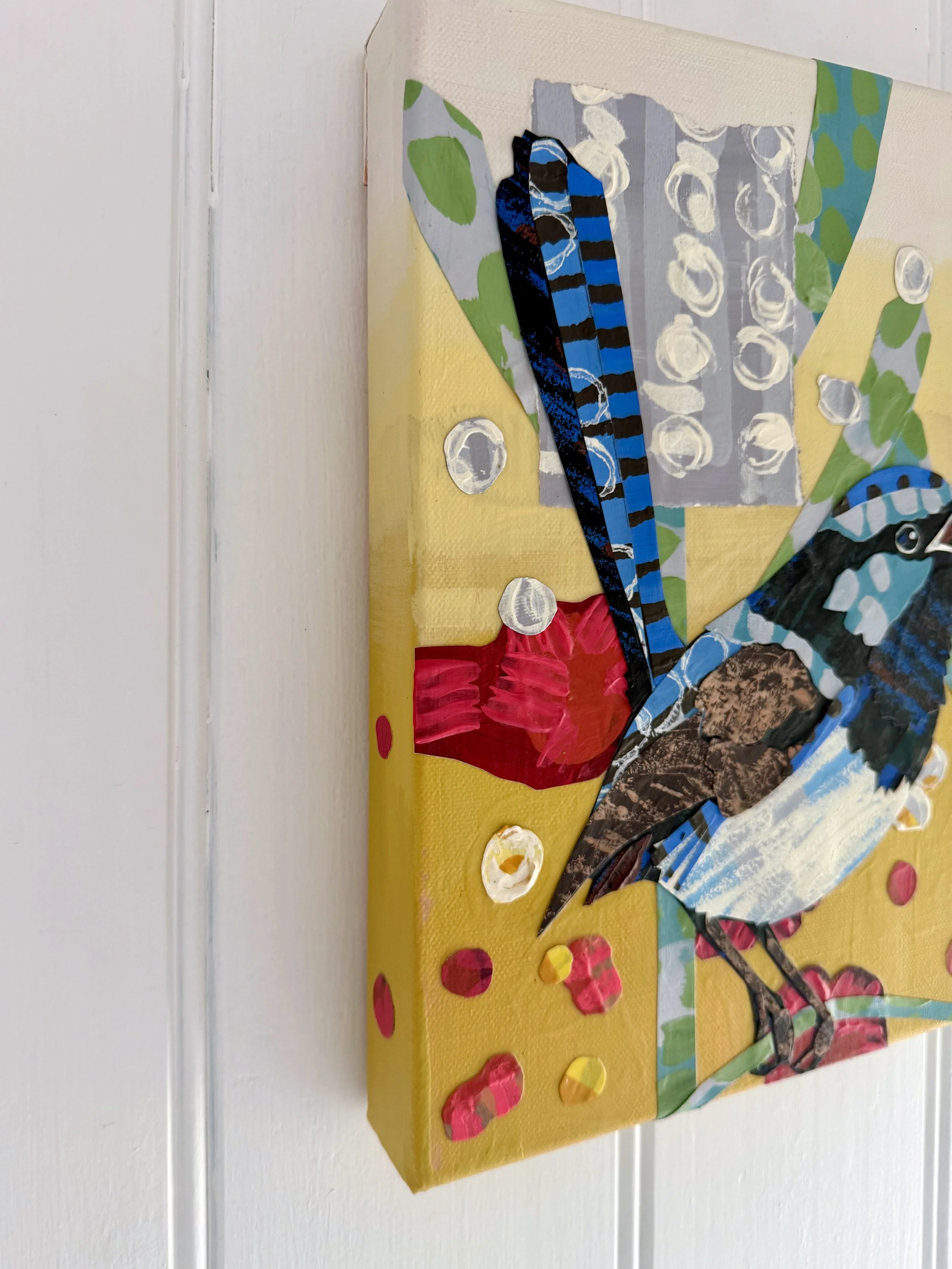 Blue Wren and Banksias Side view 2.jpg