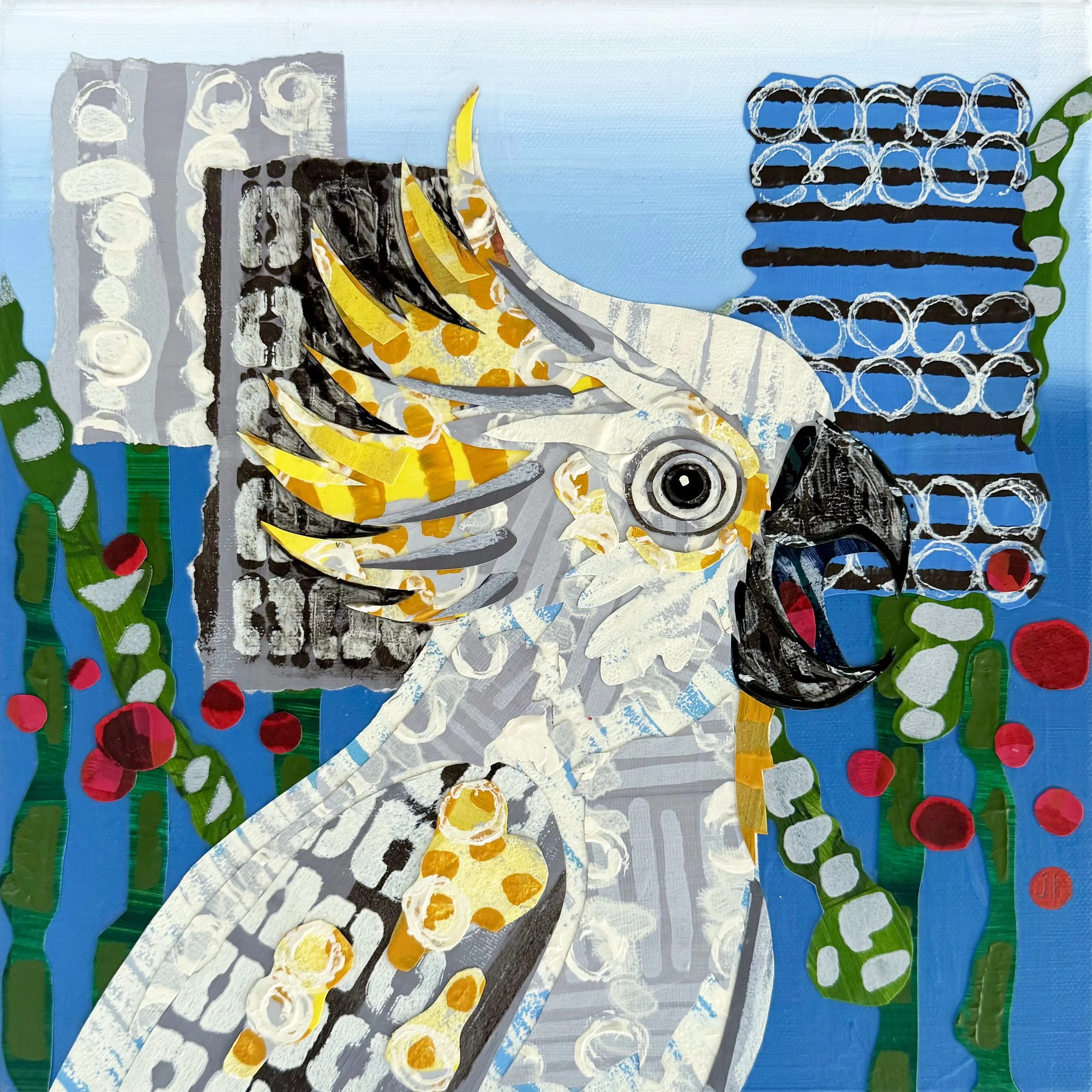 Cockatoo and Banksias.jpg