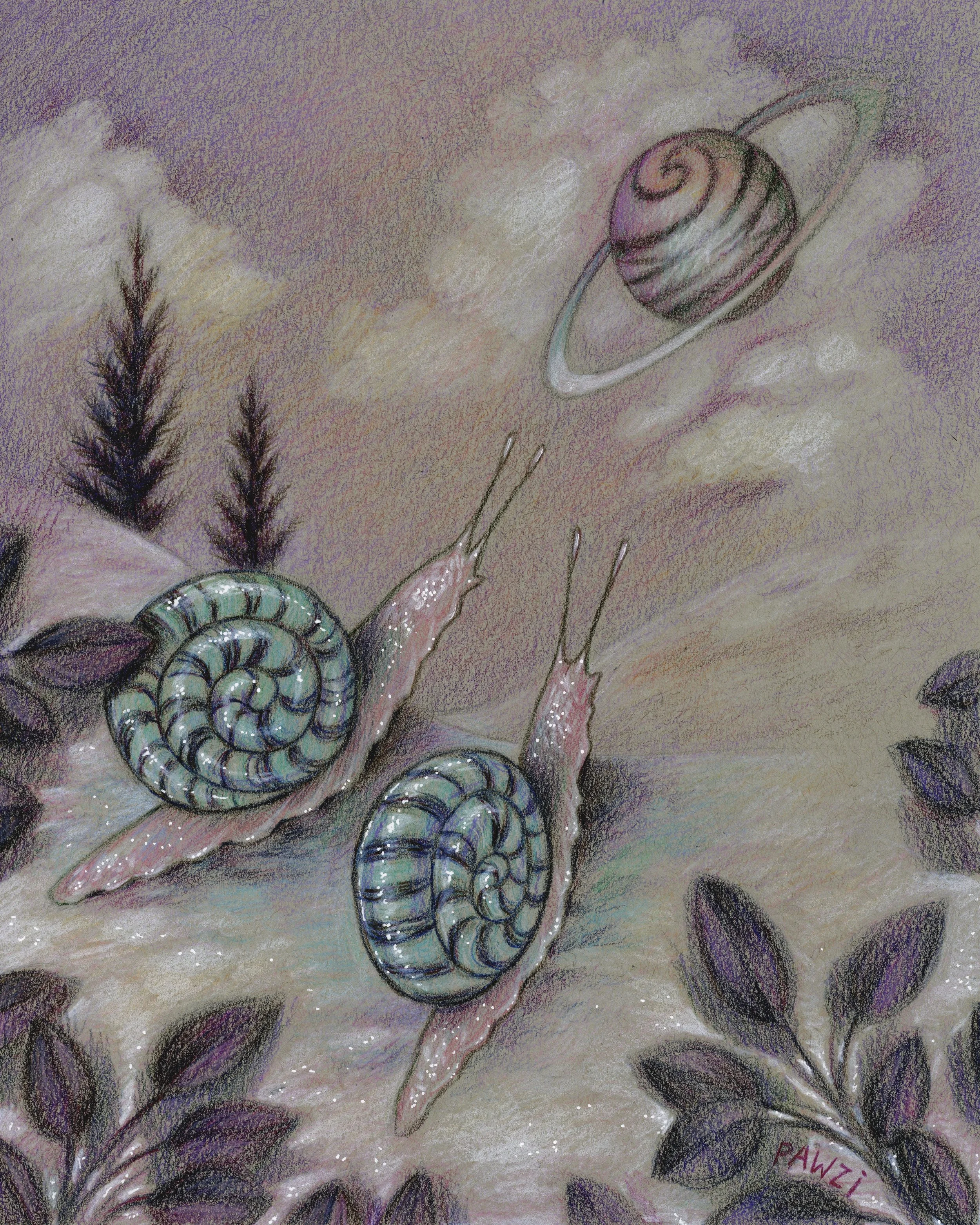 "I Know A Spot" colored pencils on paper