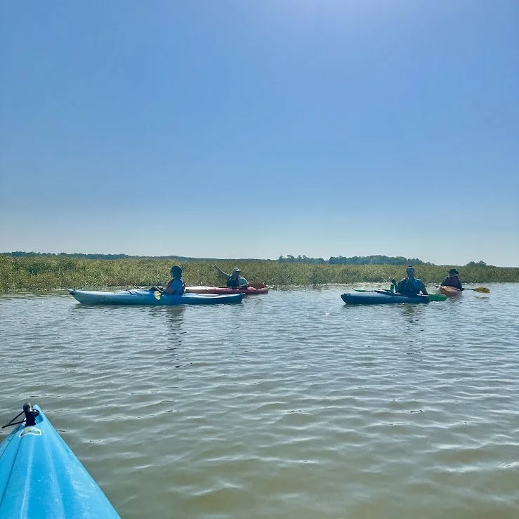 IMG_8755.JPG
