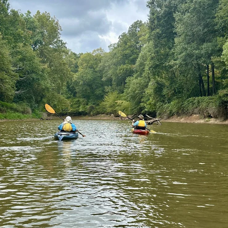 Triangle Area Discovery Paddle