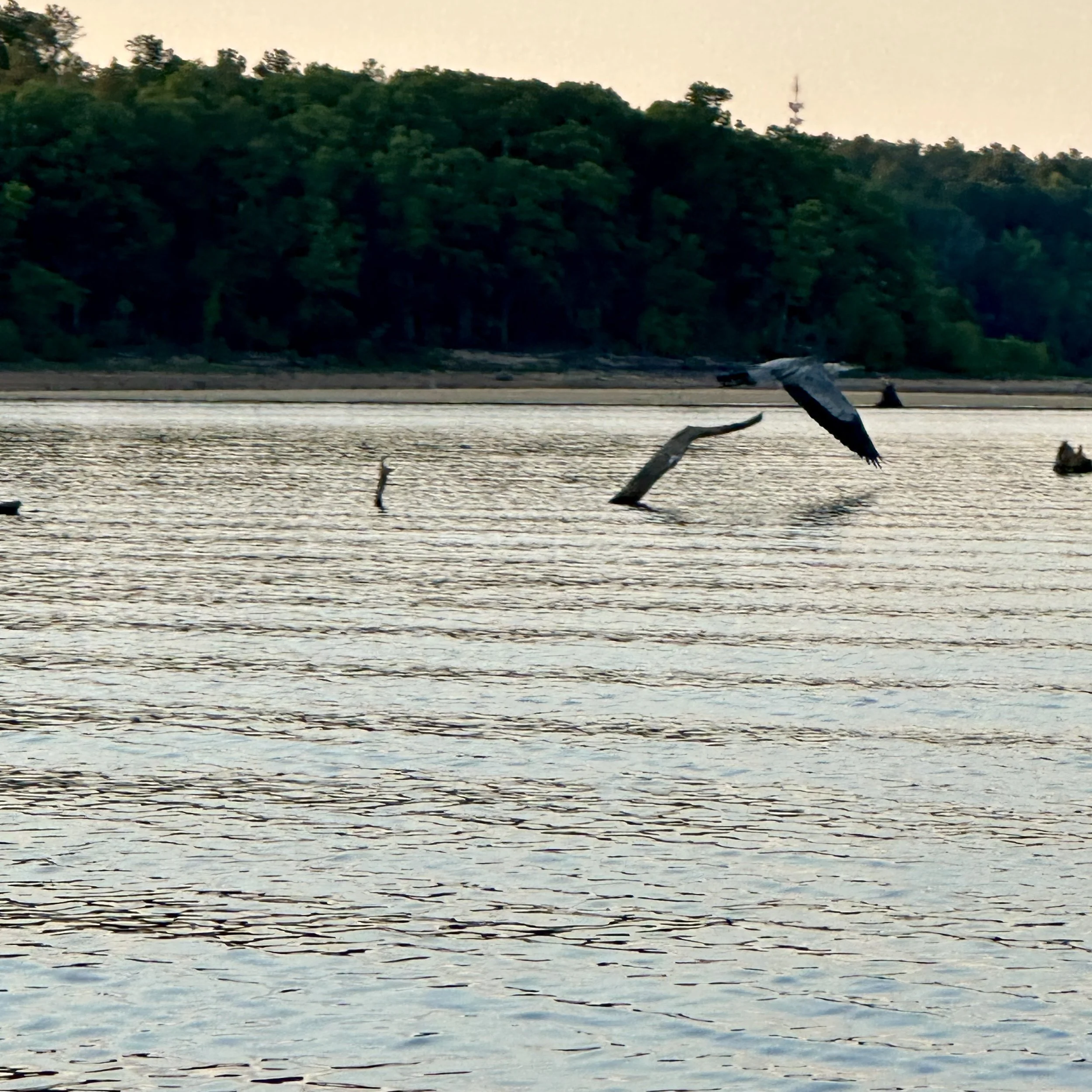Independent Paddle Canoeing, Kayaking, and and Standup Paddleboarding at Ledge Rock on Falls Lake