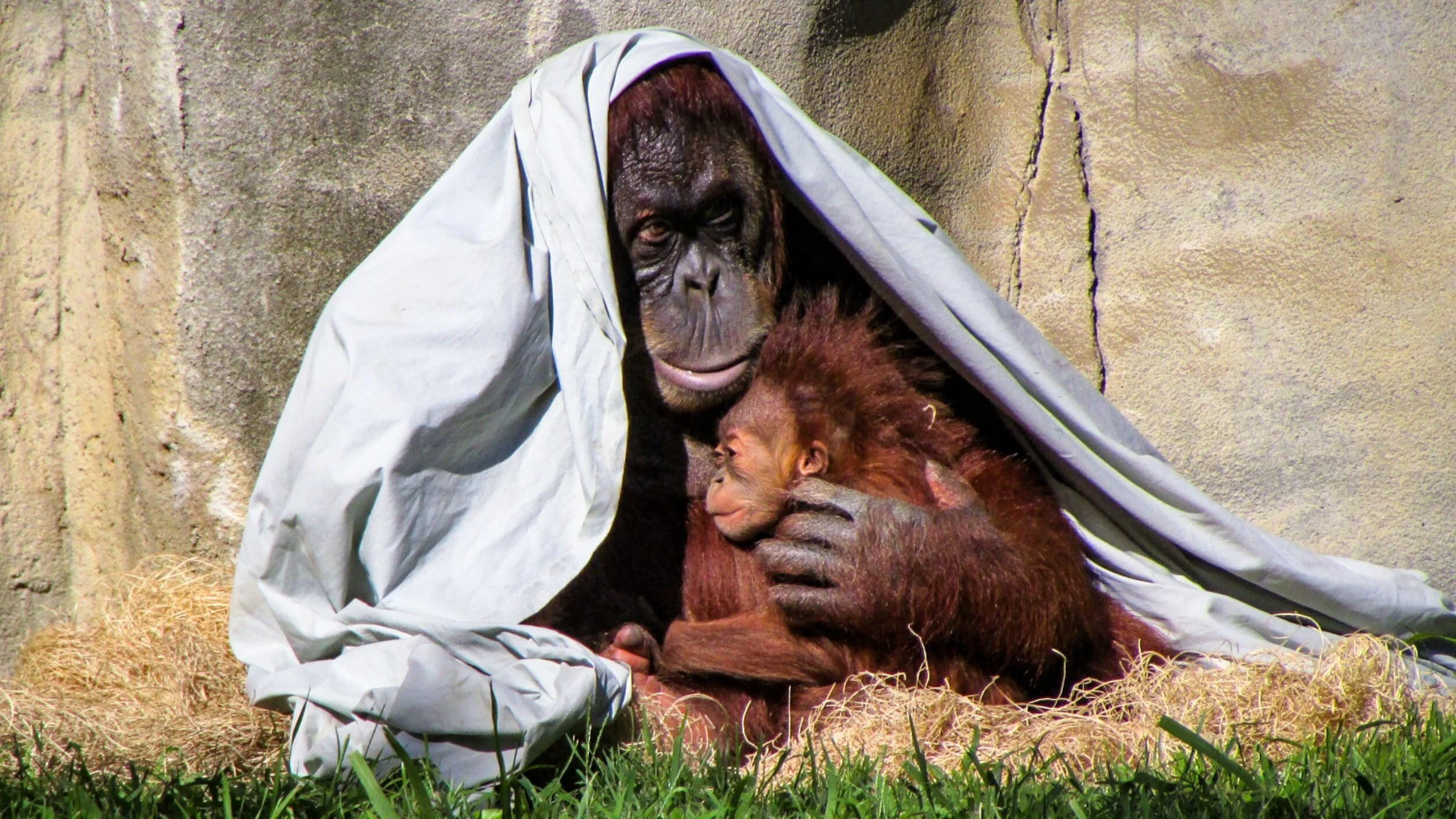 unsplash-image-i8w4S4zdApk.jpg
