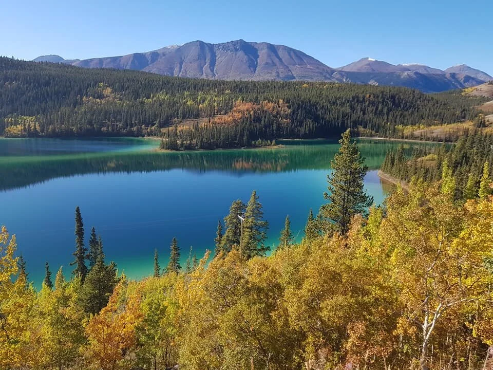 Carcross  4.jpg