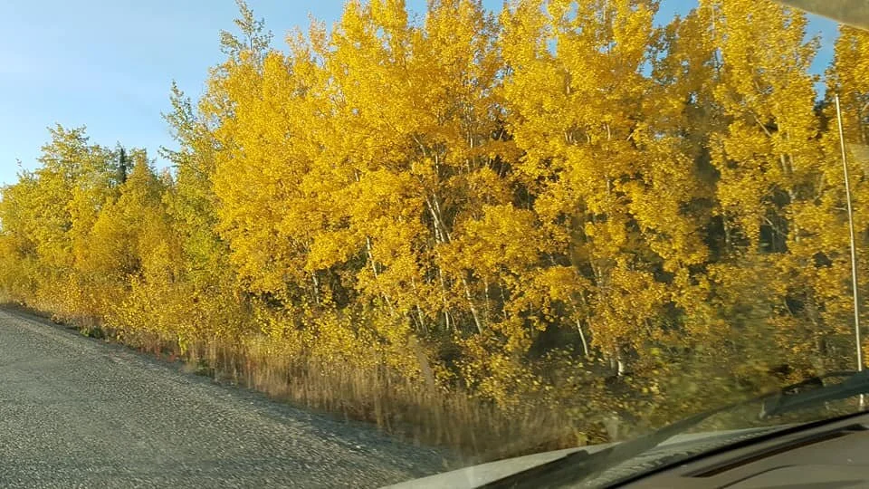color of fall 12.jpg
