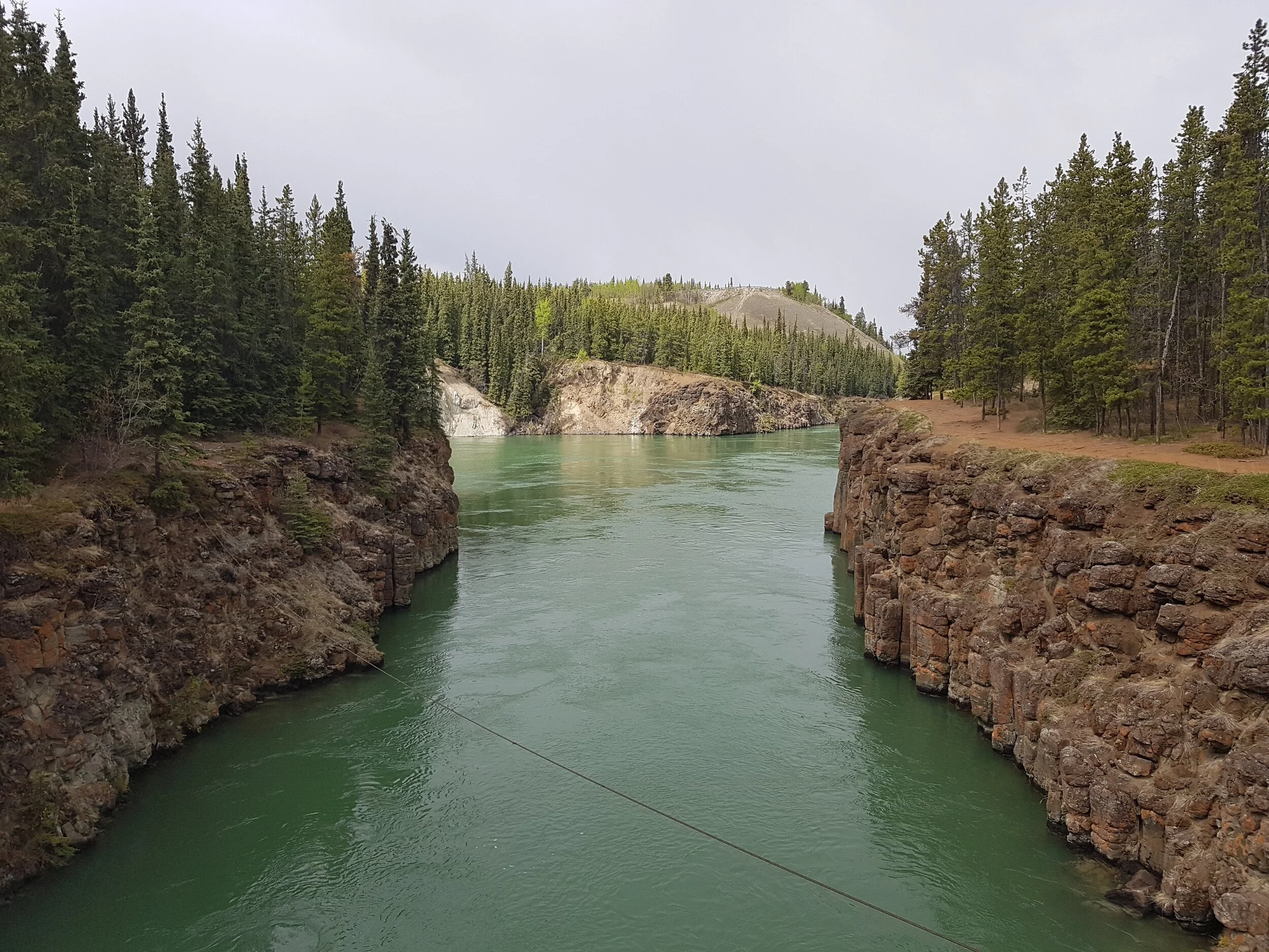 20180527_144120.jpg