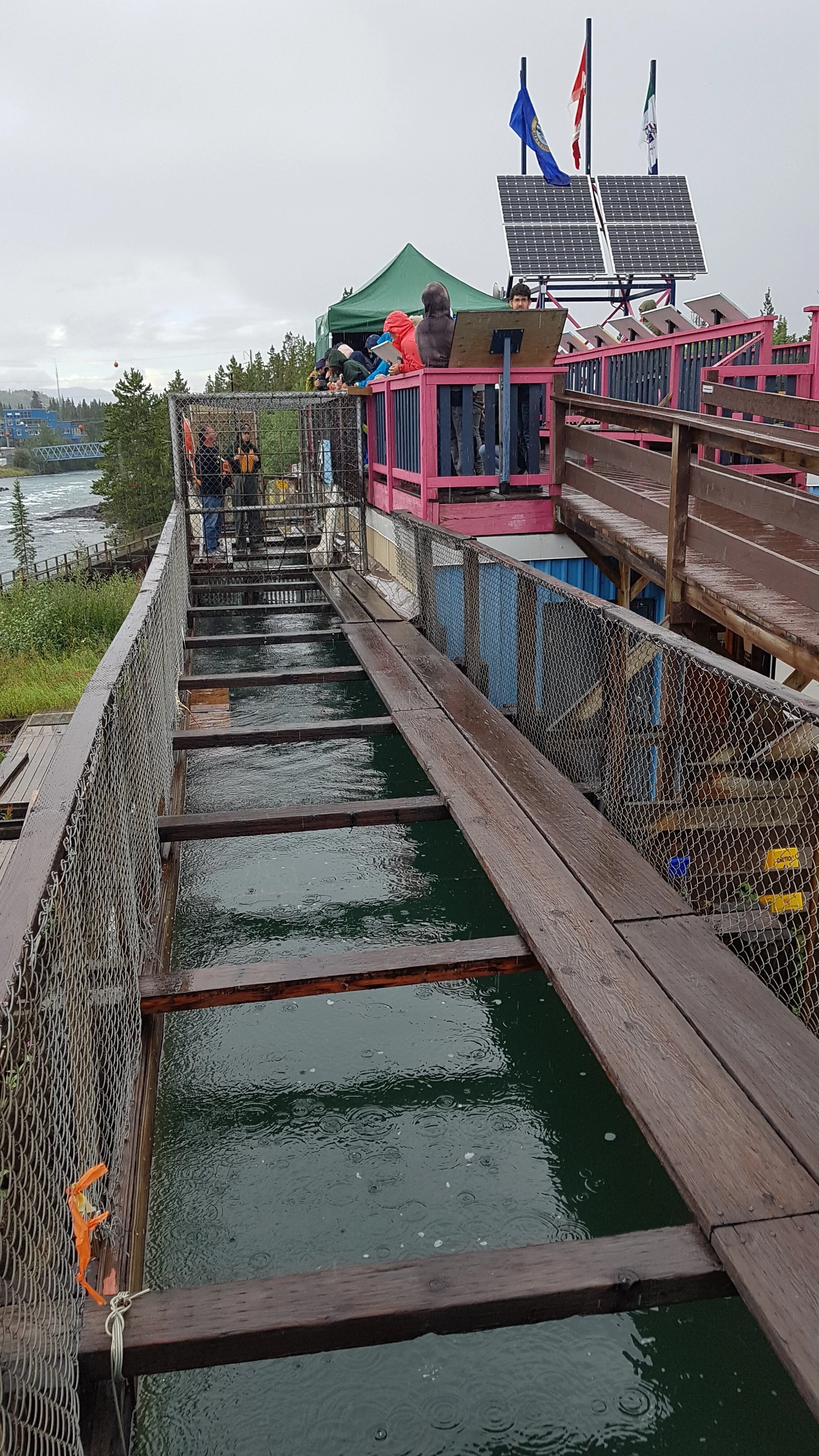 wooden fish ladder.jpg