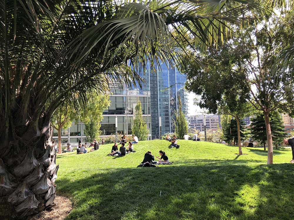 Salesforce-Park-mounds.jpg