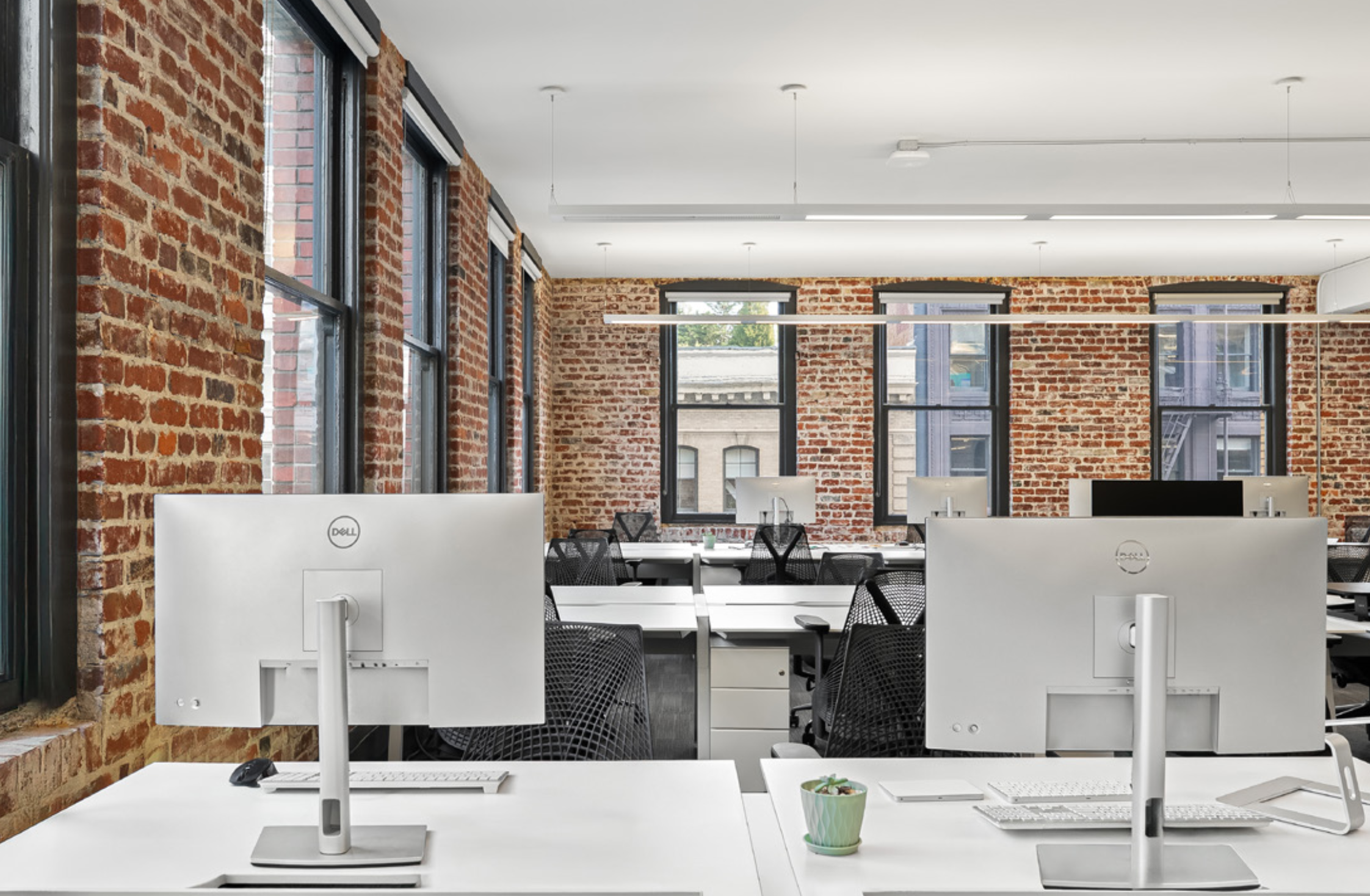 Screenshot 2026-02-12 at 12.06.43 PM.png