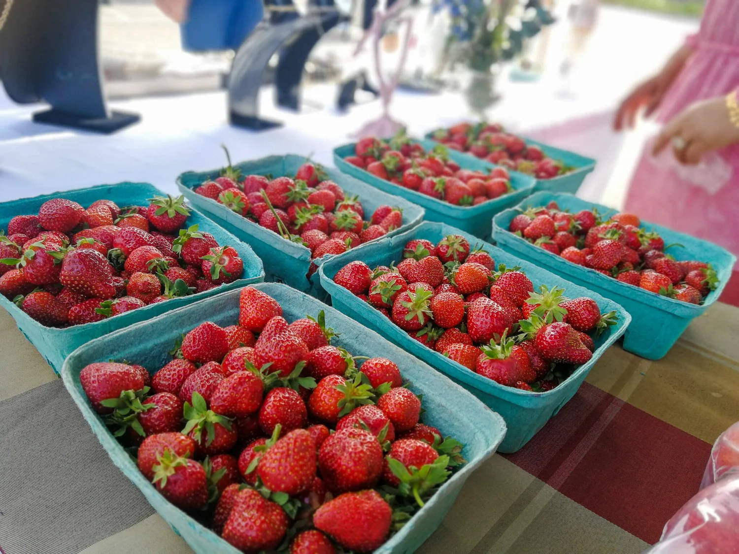 Seasonally Fresh — Vernon Farmers' Market