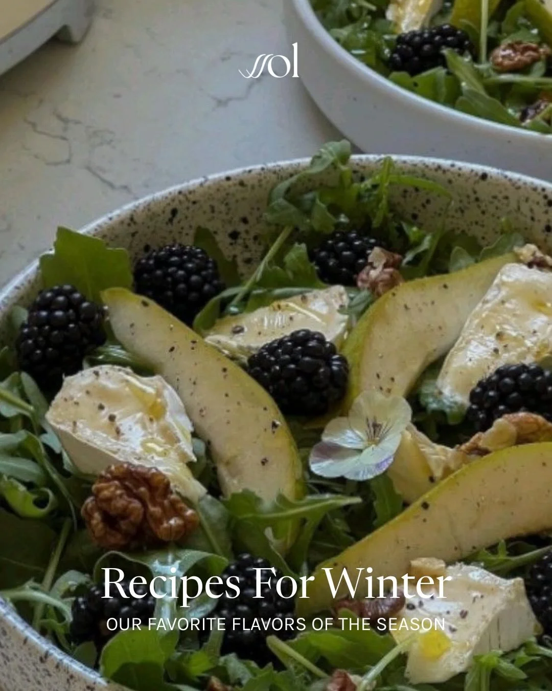 Cozy season never tasted so good 😋 Sharing some Sol-approved winter recipes we&rsquo;re loving right now. Nourishing for the body, satisfying for the Sol.
⠀⠀⠀⠀⠀⠀⠀⠀⠀
#wintereats #feelgoodfood #healthycomfort #seasonaleating #balancedliving orangecoun