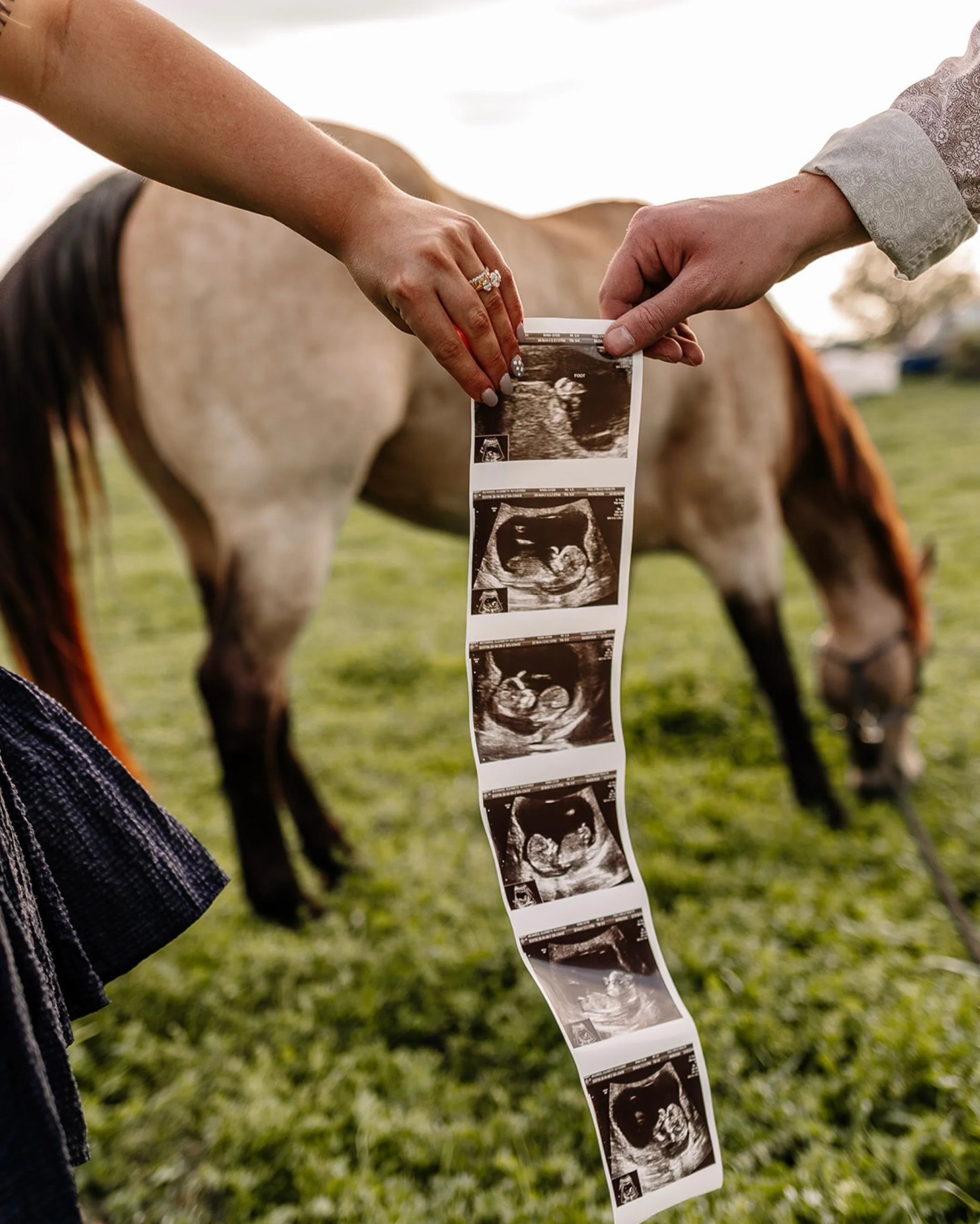 So excited for these two! Congratulations Kaden and Elizabeth!🥹💞💐🐴
&bull;
&bull;
&bull;
#photographer #southernilphotographer #southernindianaphotographer #midwestphotographer #maternityphotography