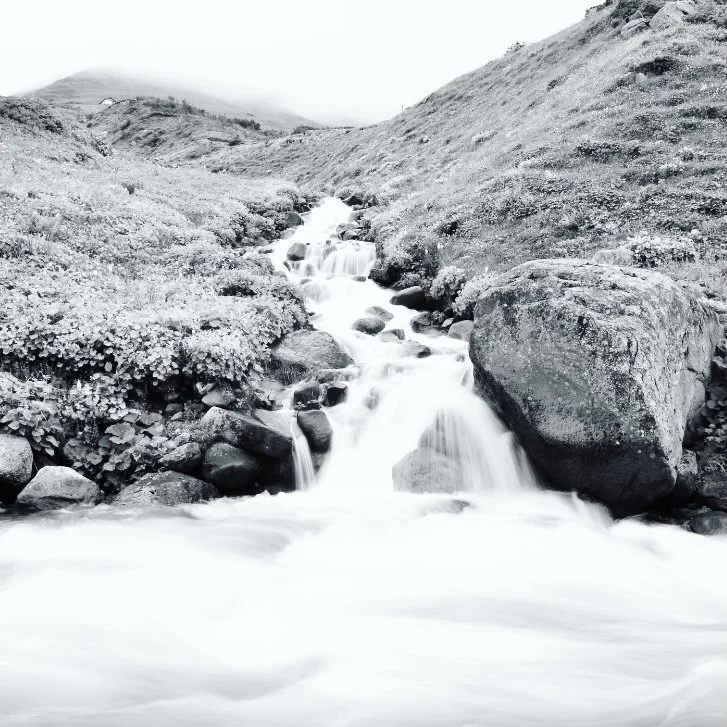 The River of Compassion & Connection