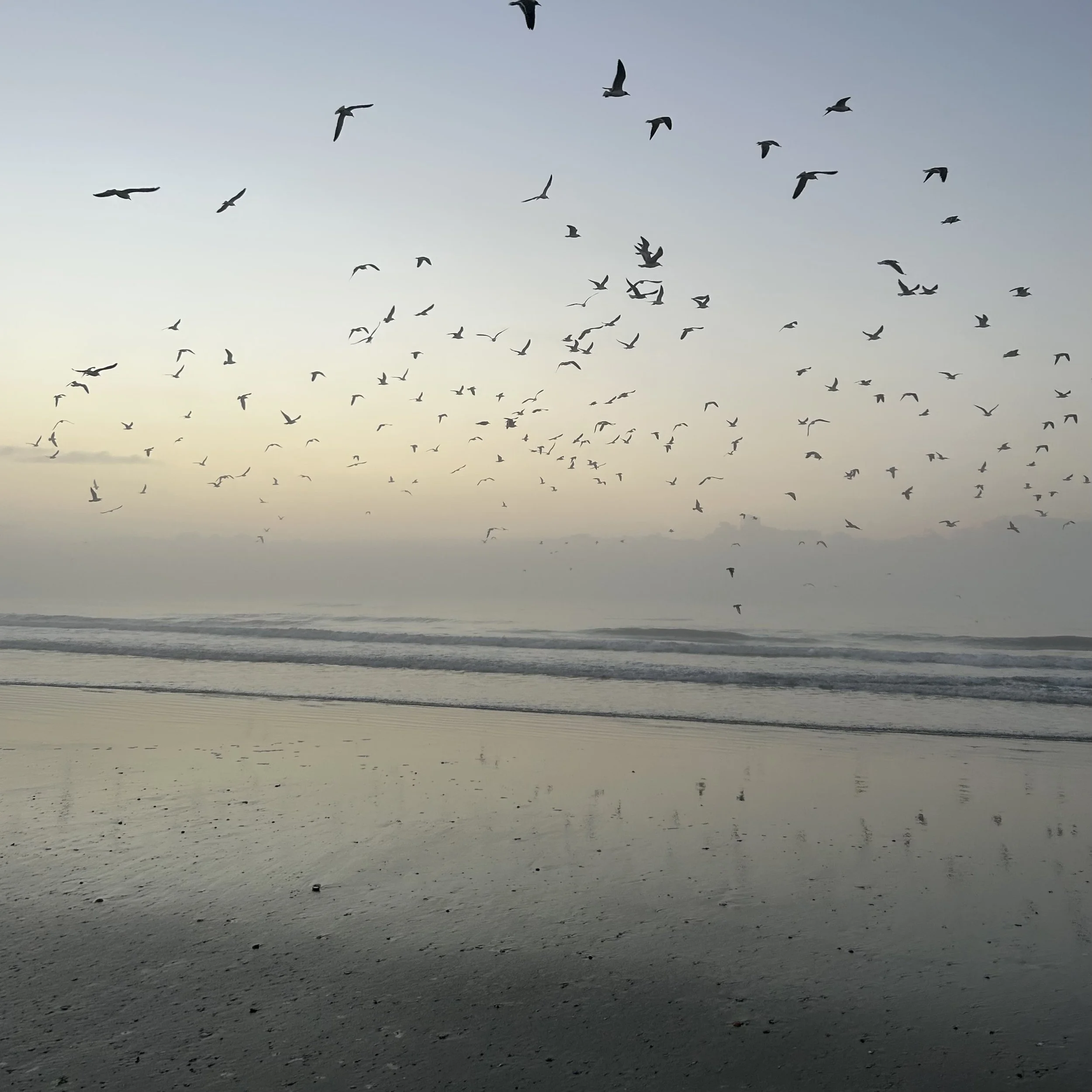 Awareness Through Movement