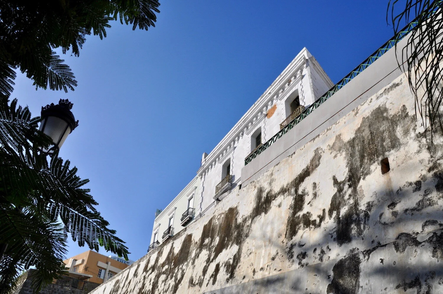 DSC_0156.jpg