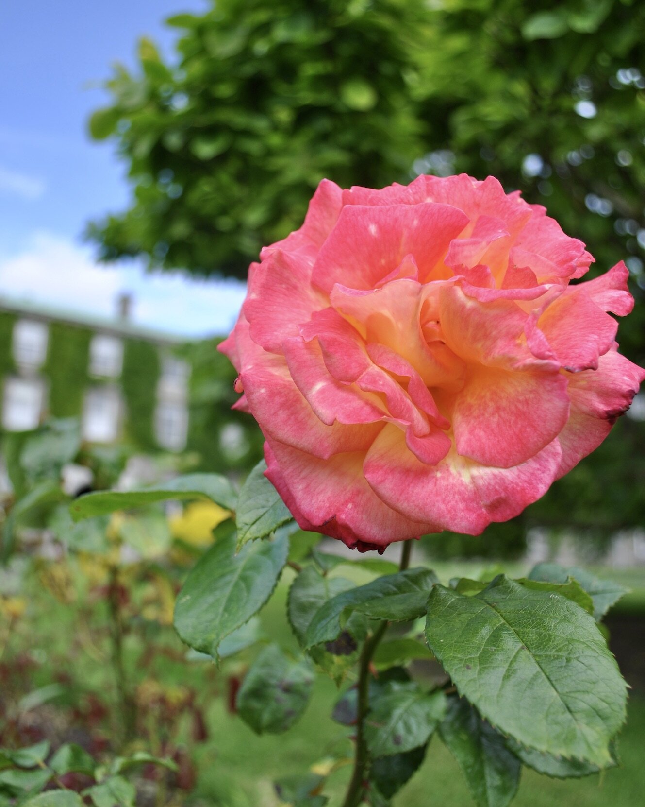 DSC_0030.jpeg